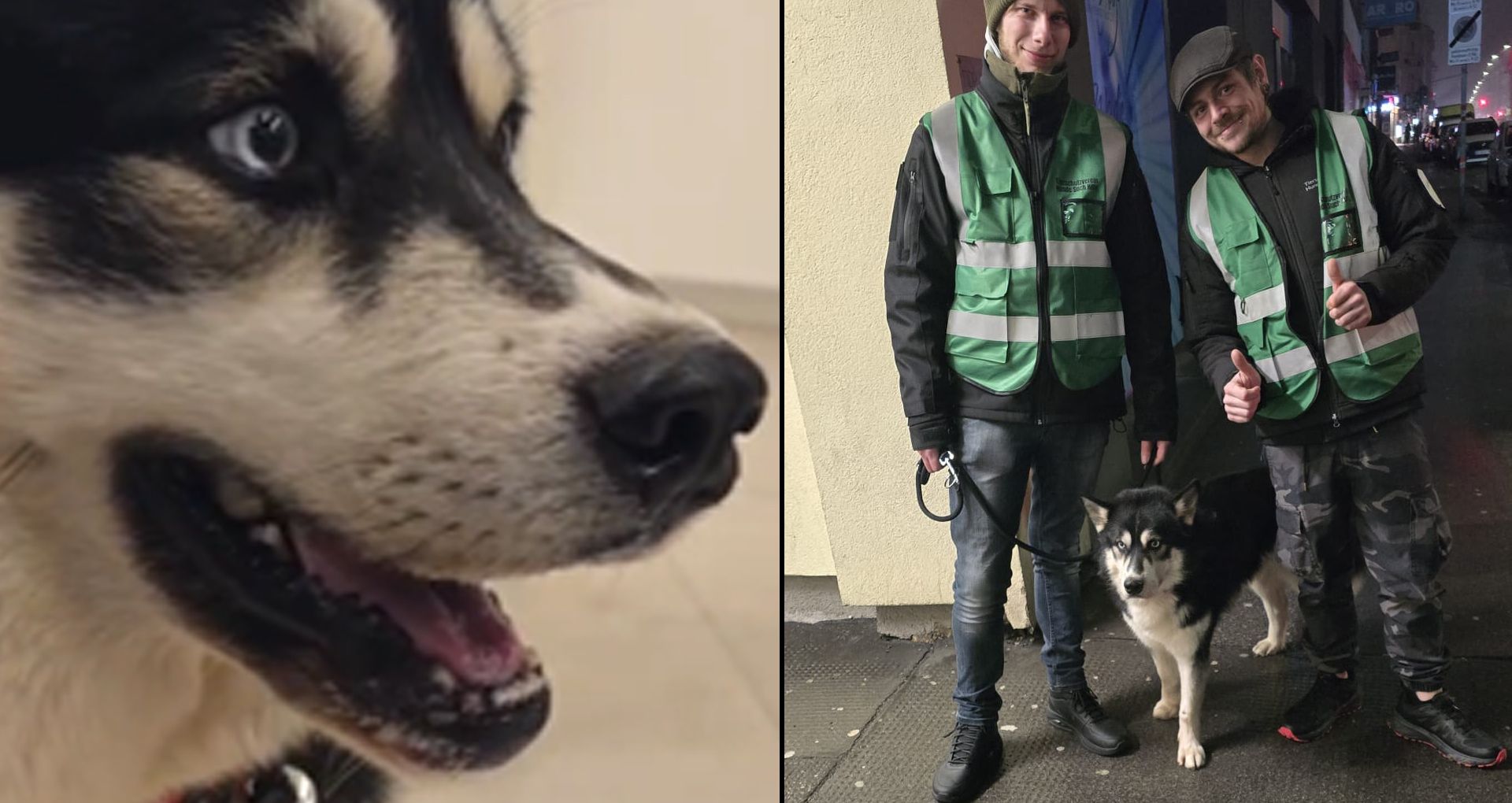 Heute.at - Minutenlange Schmerzensschreie – Hunde-Folter in Wien