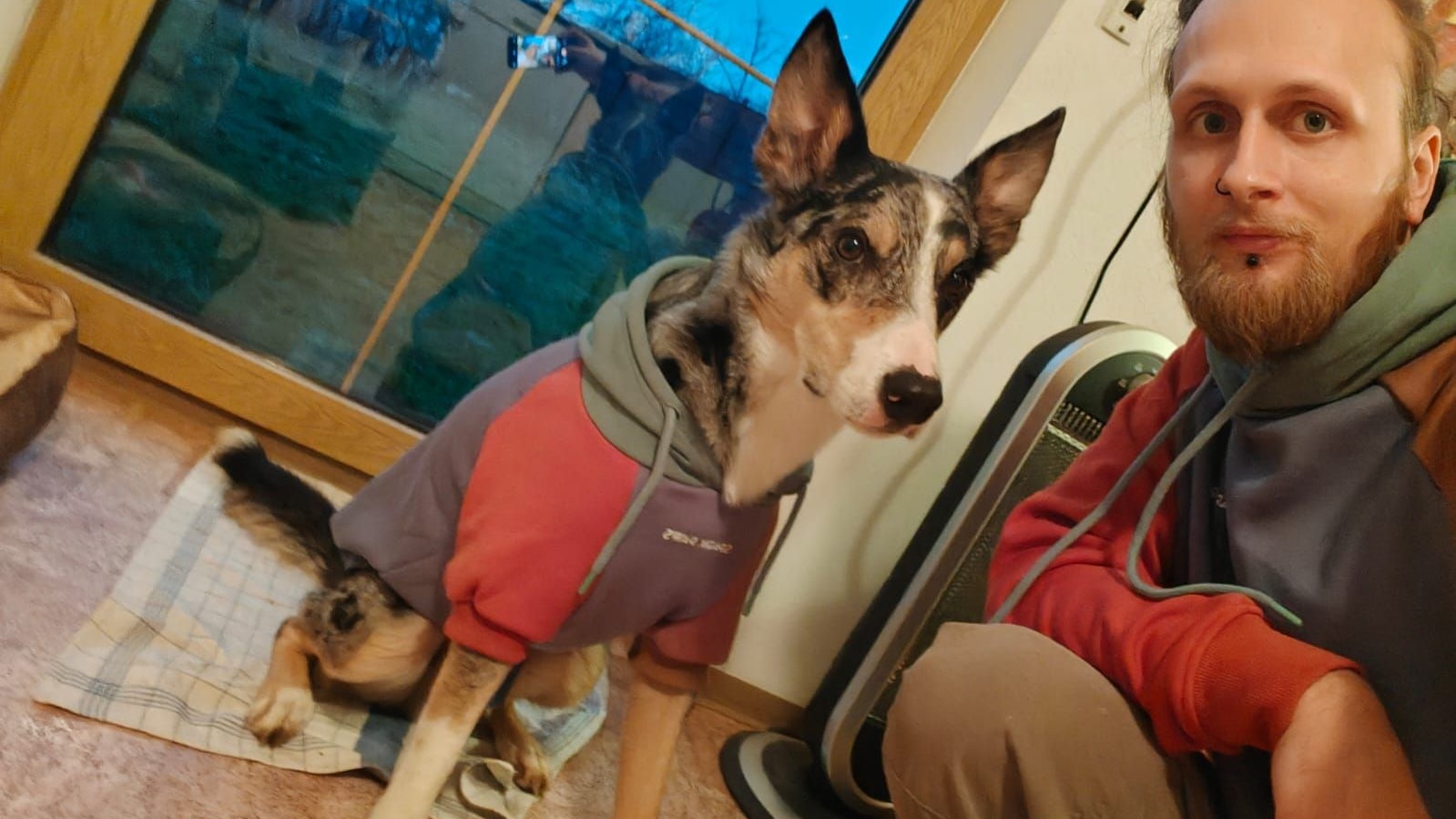 Besitzer Fabian P. bezeichnete Border Collie "Cooper" stets als seinen "besten Freund".