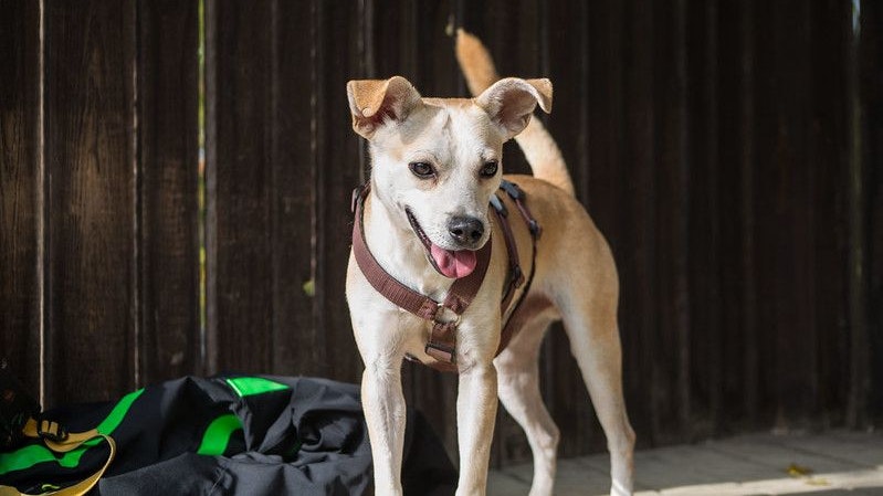 Hier bei Tierschutz Austria war der kleine Kerl schon aufgetaut. 