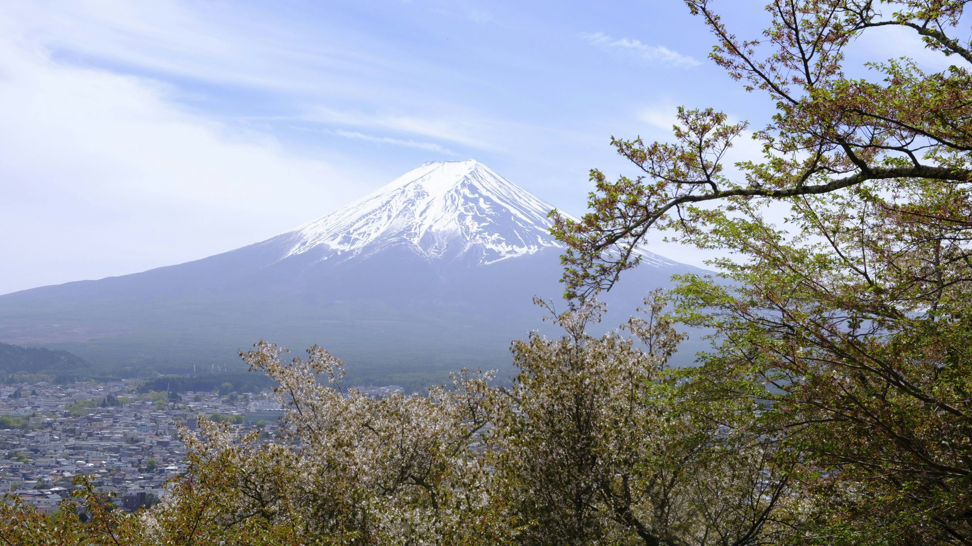 Heute.at - Zu viele Touristen – beliebtes Fest plötzlich abgesagt