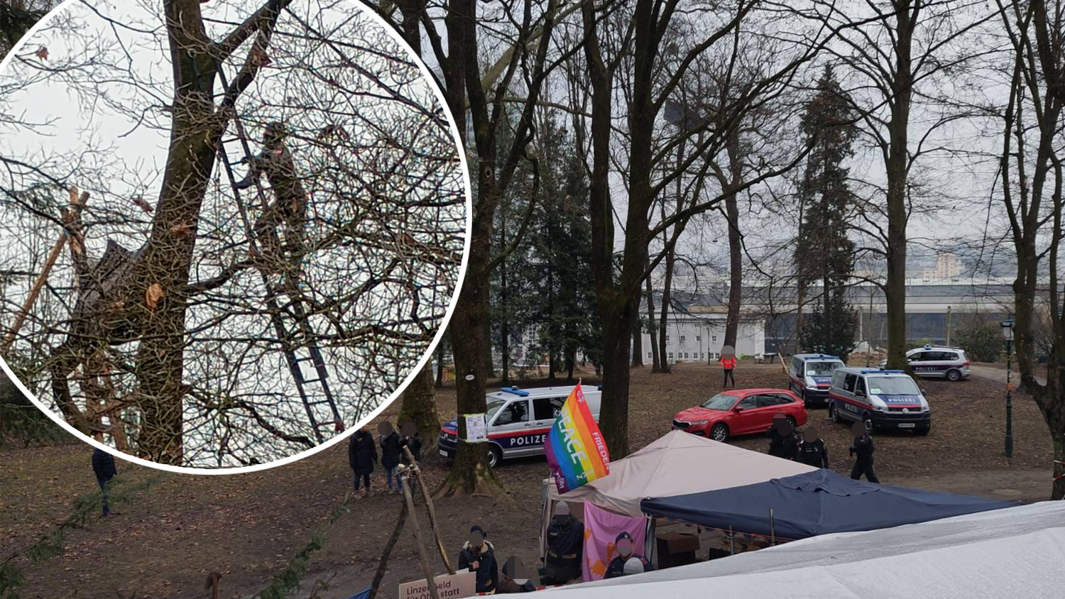 Das Protestcamp im Linzer Bergschlößlpark wurde am Donnerstag geräumt. Die Cobra holte einen Aktivisten aus einem Baum, nahm ihn vorläufig fest.