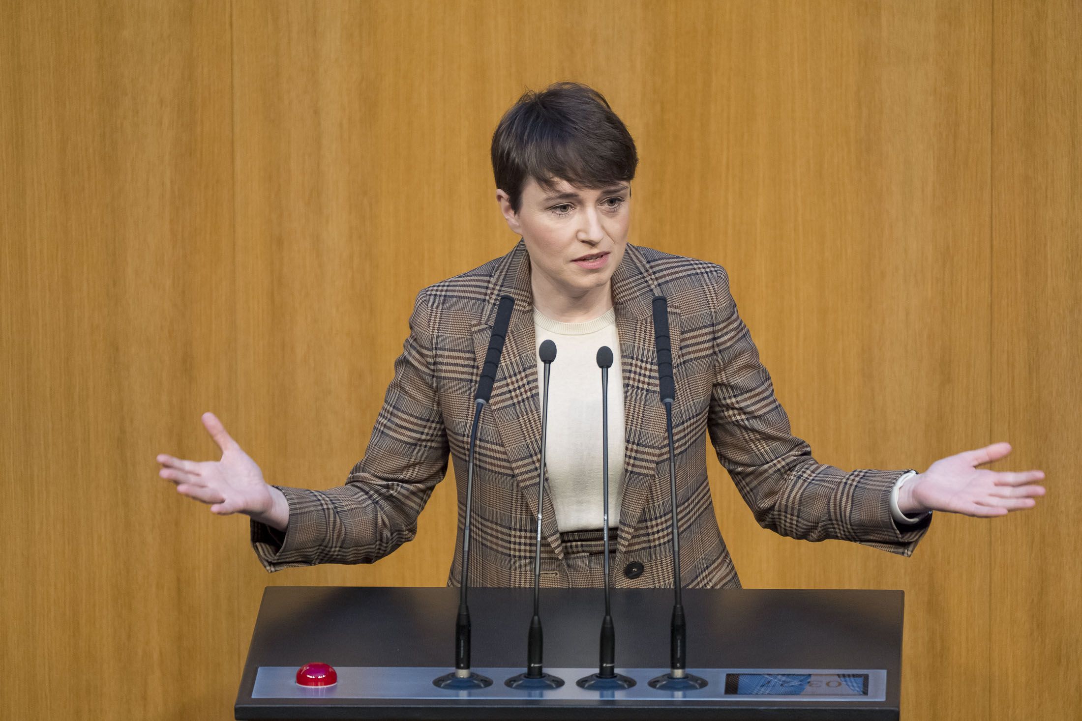 Grünen-Vizeklubchefin Sigi Maurer