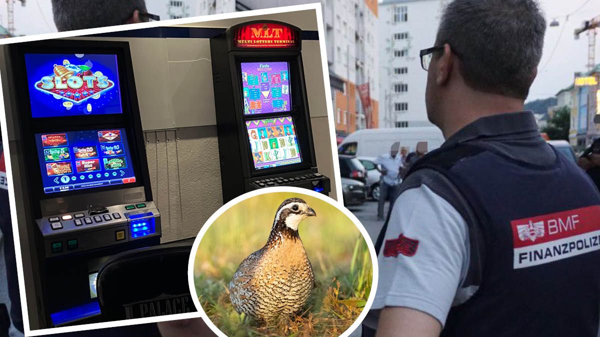 Diese Automaten wurden in einer angeblichen Farm für Wachteln gefunden. Die Finanzpolizei (Symbolfoto) deckte den Fall auf. 