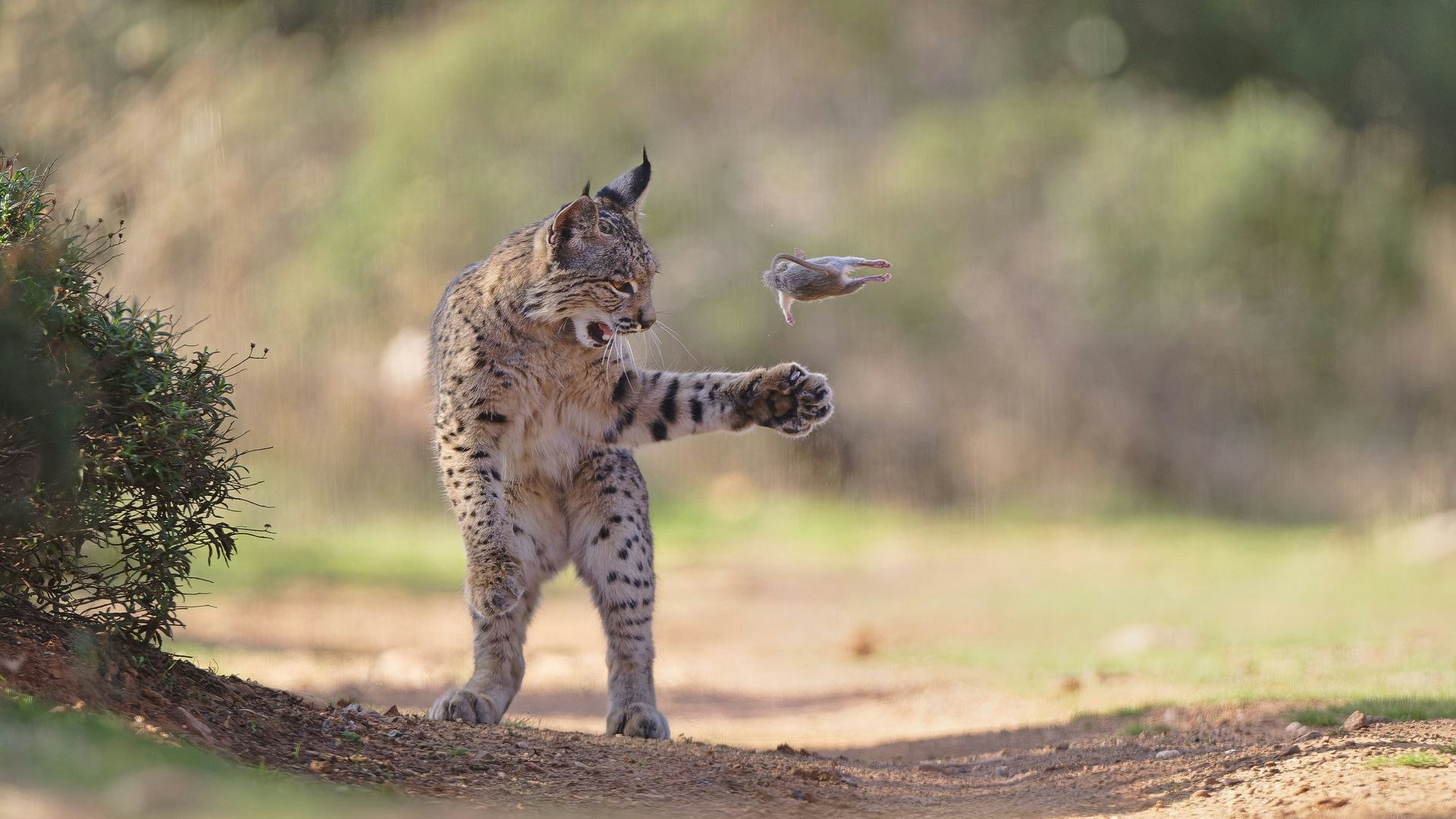 Dieser Schnappschuss ist in Andalusien entstanden.