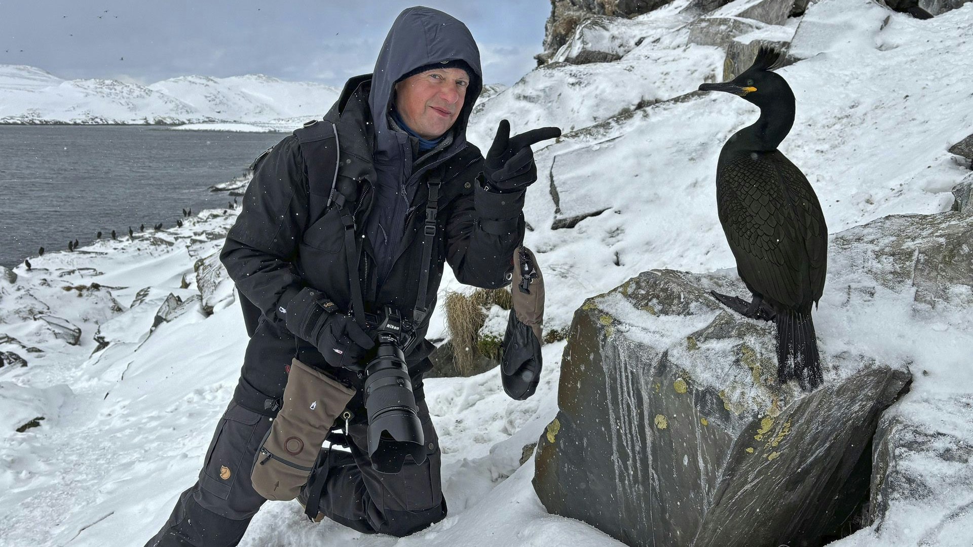 Heute.at - Niederösterreicher im Oscar-Rennen um bestes Naturfoto