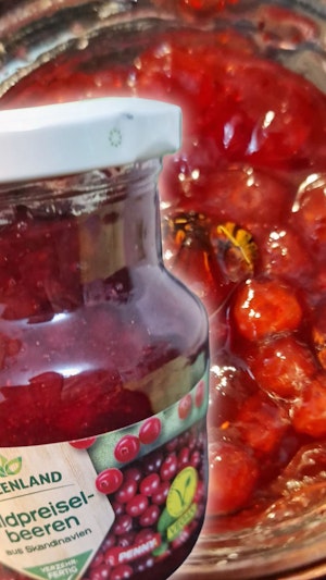 Wespen-Allergie: Frau entdeckt lebende Wespe im Preiselbeerenglas aus Penny Markt in Niederösterreich. Ekel-Fund sorgt für Entsetzen.