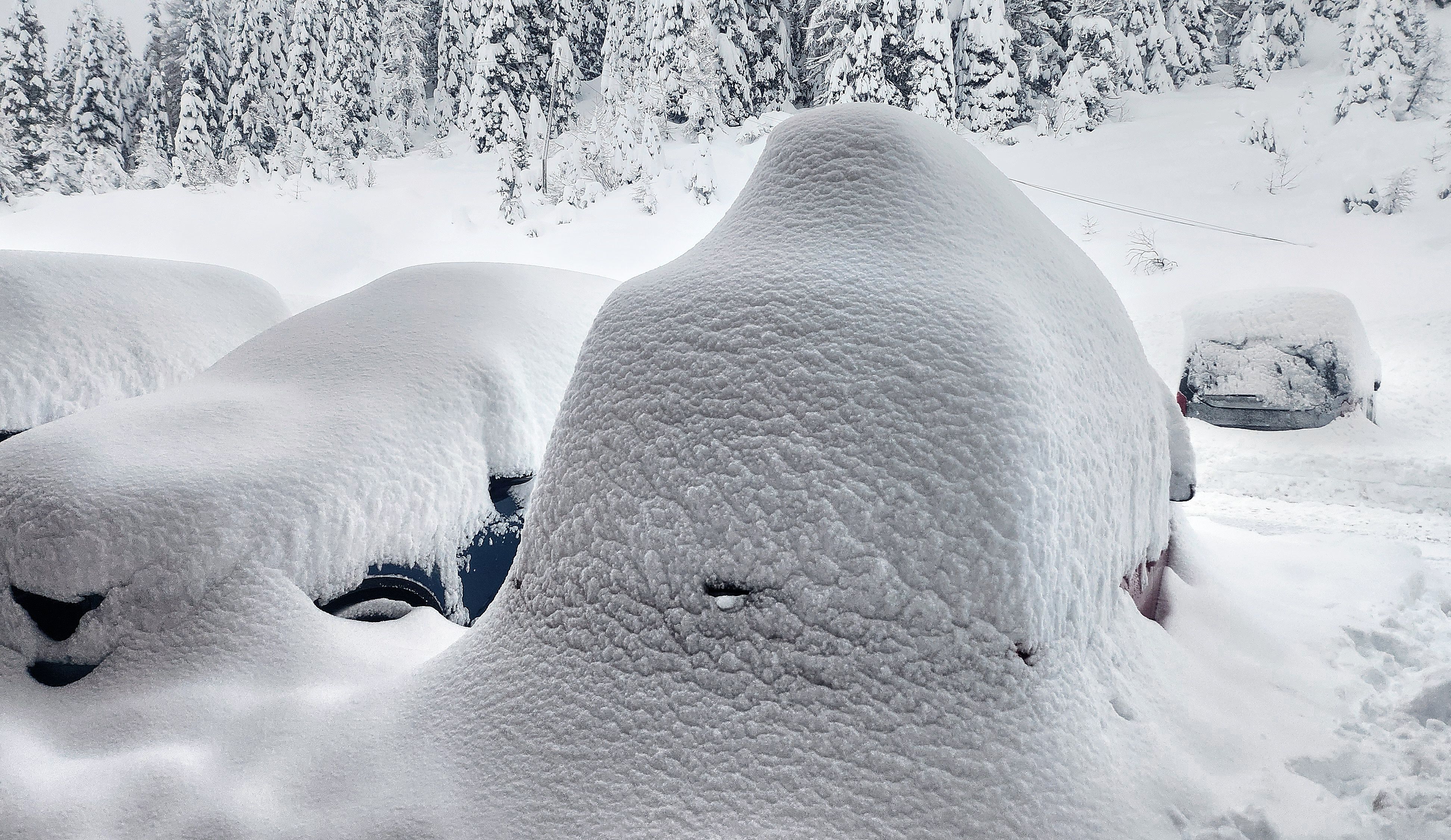 Heute.at - Schneefront im Anmarsch – wo Österreich jetzt weiß wird