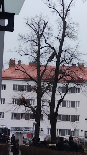 In Wien-Floridsdorf kam am Montagnachmittag in einem Wohnhaus zu einer heftigen Explosion. Derzeit sind zahlreiche Einsatzkräfte vor Ort.