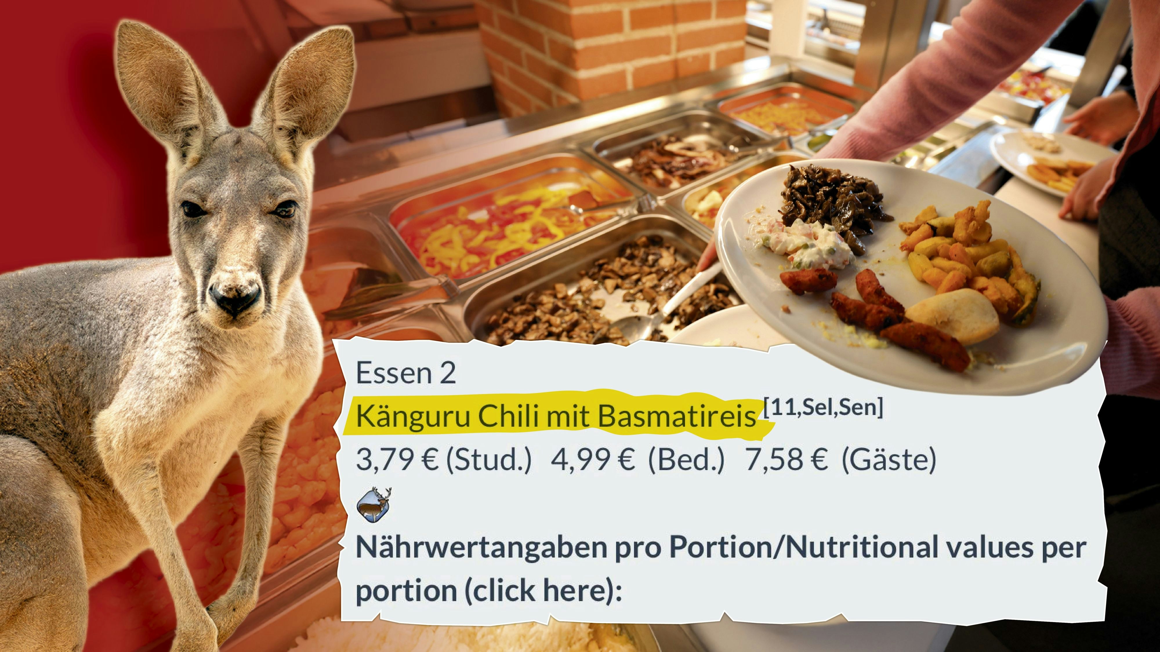 Ein Känguru-Chili in der Uni-Mensa sorgt für Gesprächsstoff (Friedrich-Alexander-Universität Erlangen, Mensa am Langemarckplatz, Anfang Februar 2026)