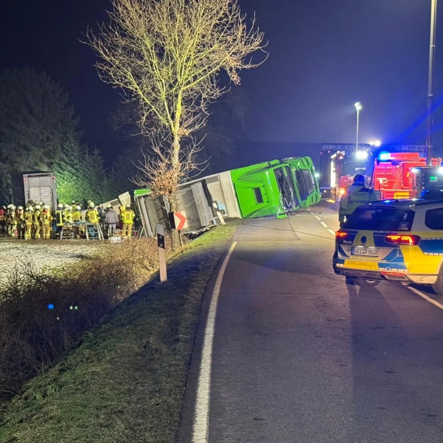 Zahlreiche Tiere kamen bei dem Unfall ums Leben.
