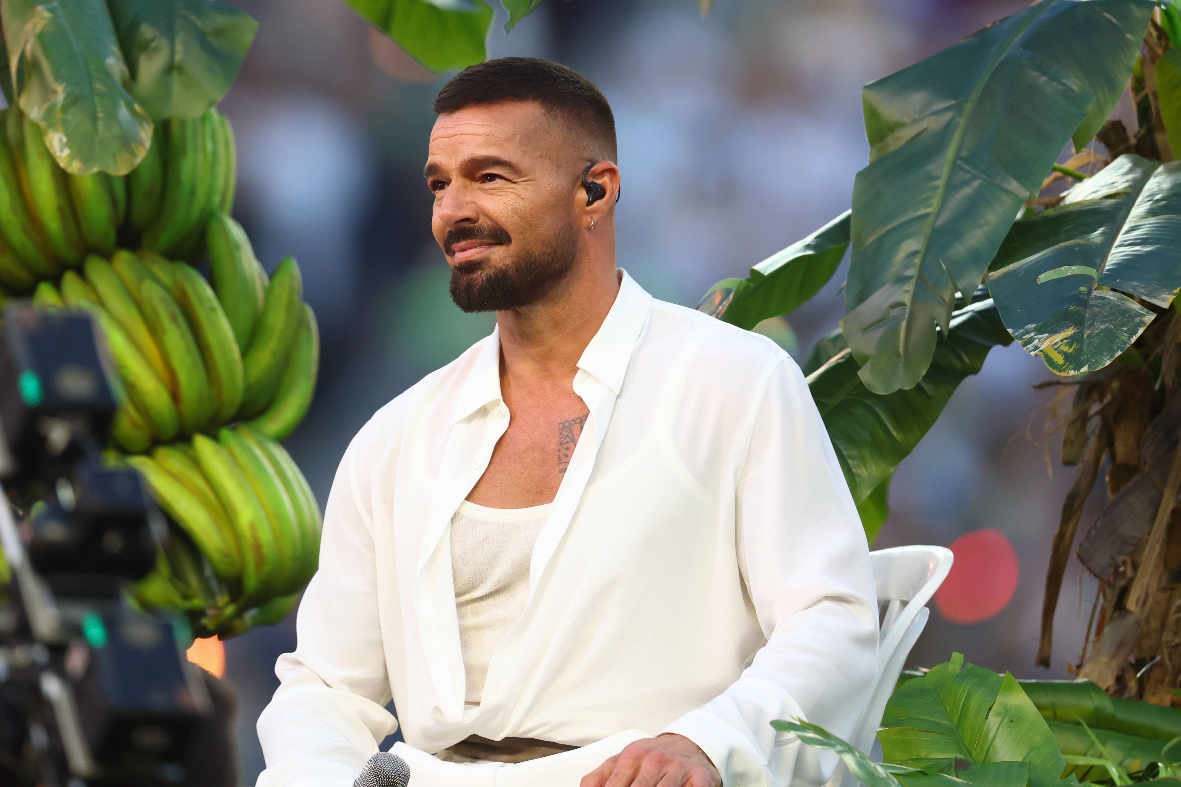 Ricky Martin trat in Podgorica auf.