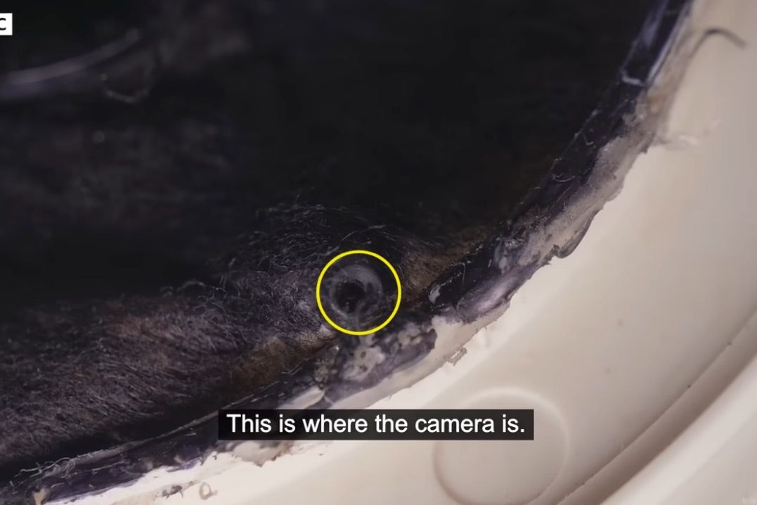 Das Objektiv verschwand im Filter des Ventilators nahezu vollständig