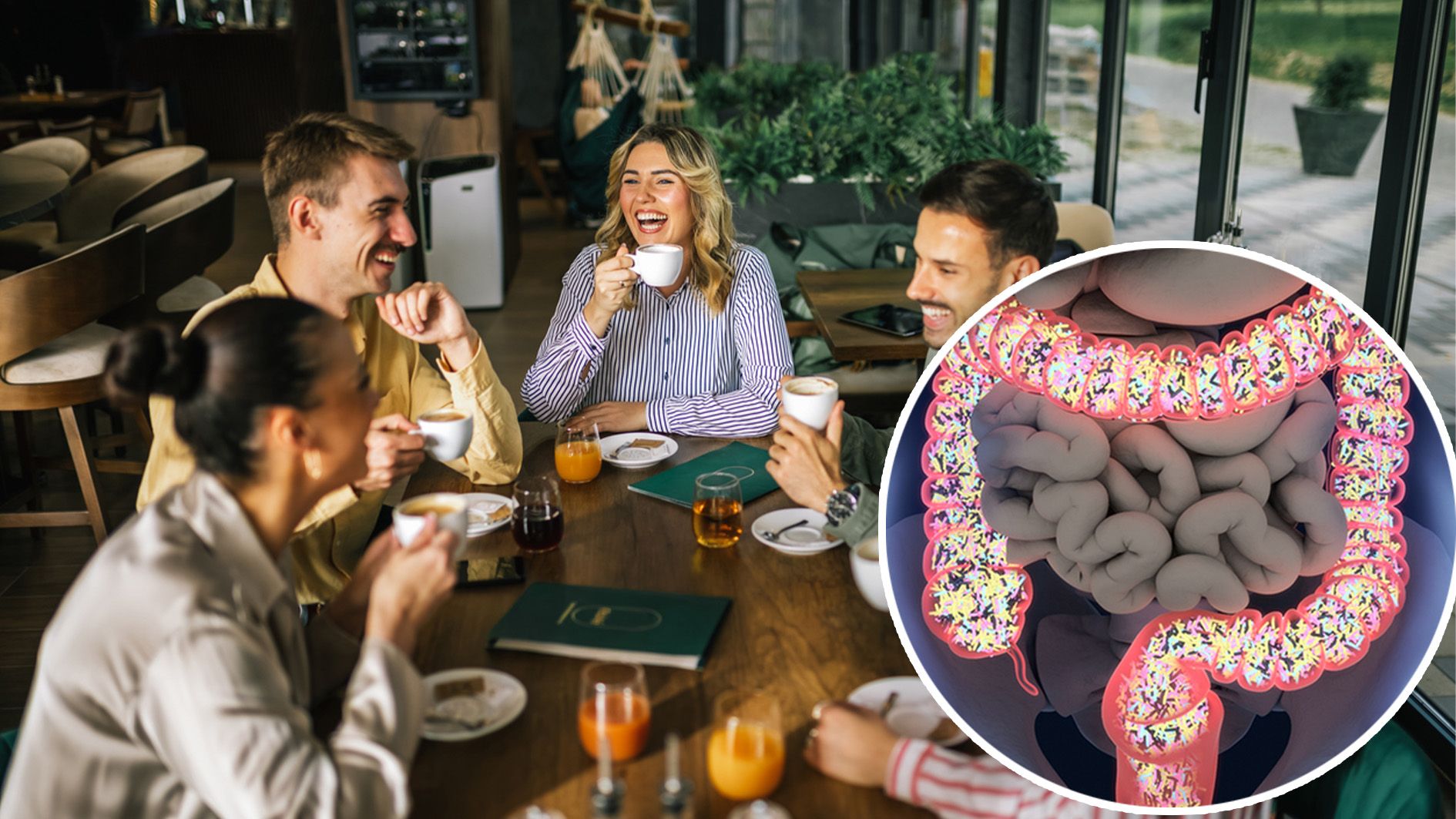 Unsere Persönlichkeit beeinflusst, wie wir mit Stress, Beziehungen, Freundschaften und sogar mit der Arbeit umgehen.