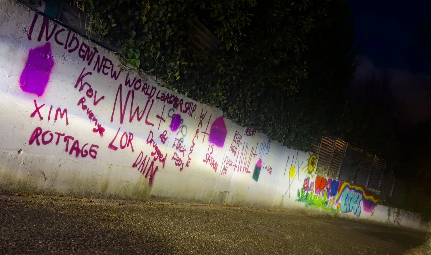Die in der Jägerstraße in Linz-Urfahr aufgesprühten NS-Symbole wurden mittlerweile übermalt.