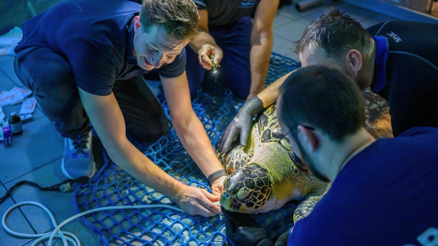"Puppi" bekam selbstverständlich einen Hausbesuch. 