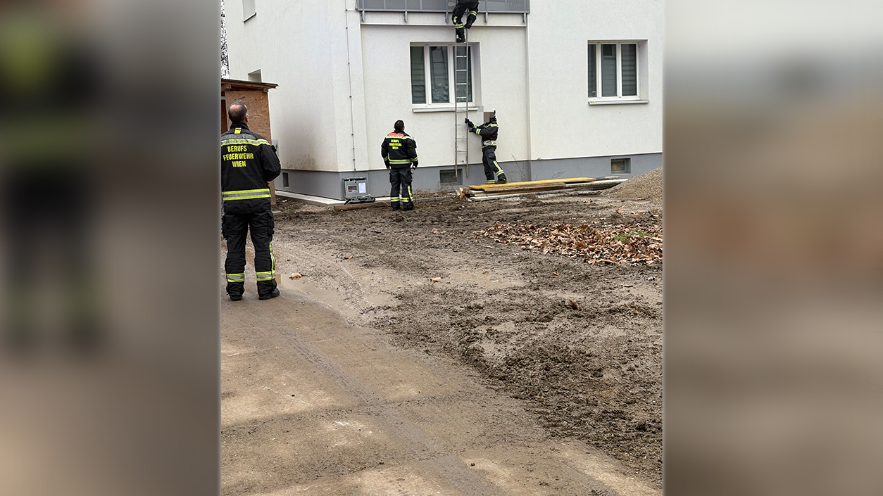 Am Dienstag in der Früh kam es für eine Wienerin zum Schockmoment.