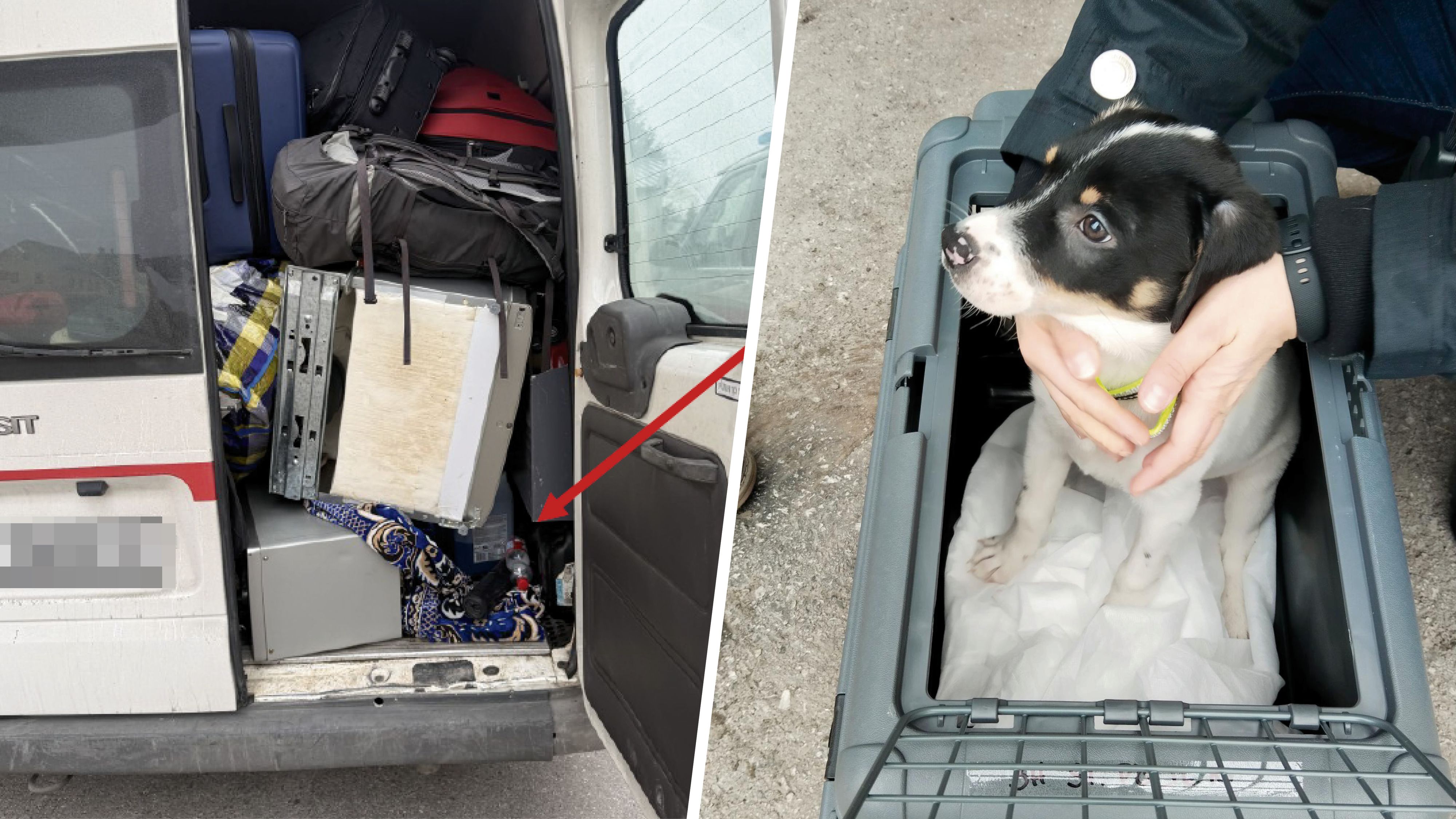 In diesem Luftloch wurde der Hundewelpe entdeckt.