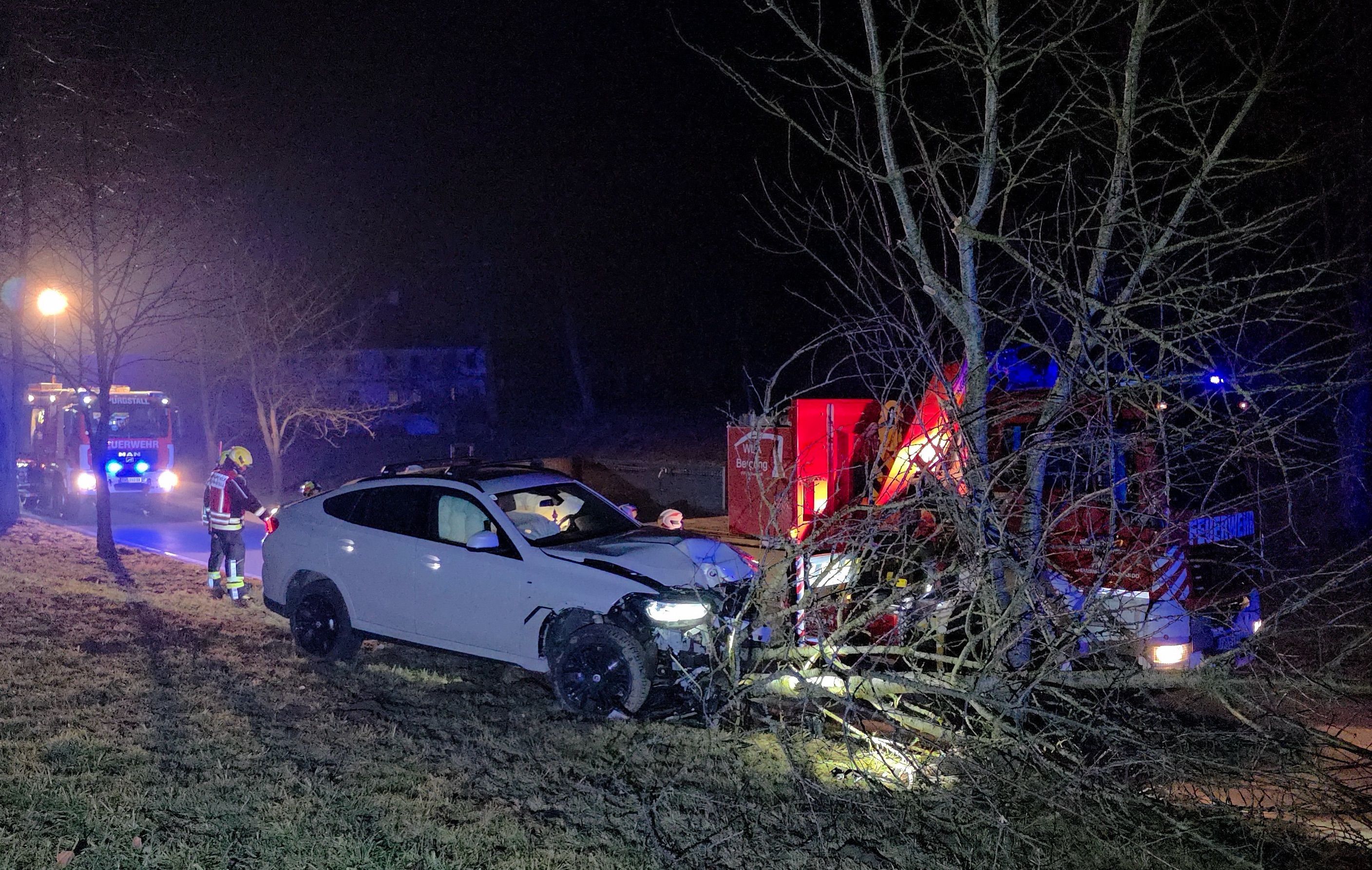 Eine Lenkerin wollte bei Purgstall einem Wildtier ausweichen und fuhr gegen einen Baum. 