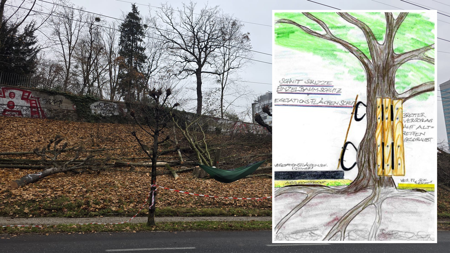 Die umfangreichen Rodungen sorgten für Bestürzung. Es wurde ein Schutzkonzept für die Bäume erarbeitet.