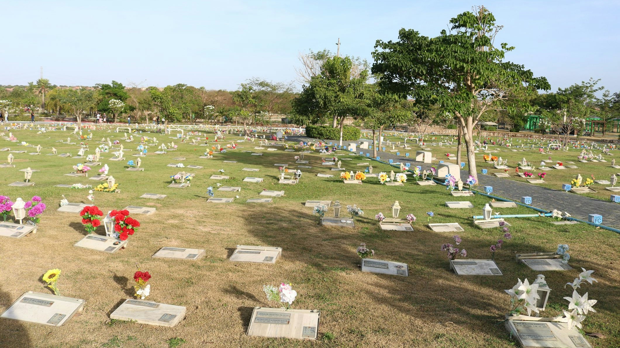 Seit Dienstag dürfen auch deine Haustiere in dein Grab folgen. 