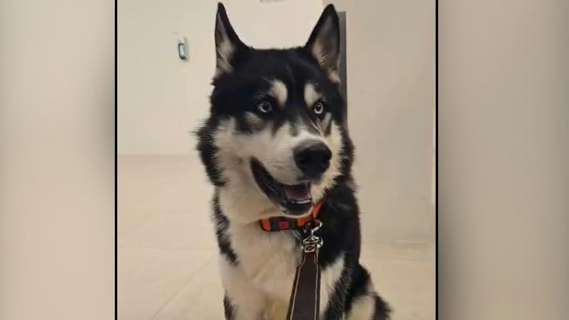 Jetzt darf auch das "Opfer" um seine Rechte kämpfen! 