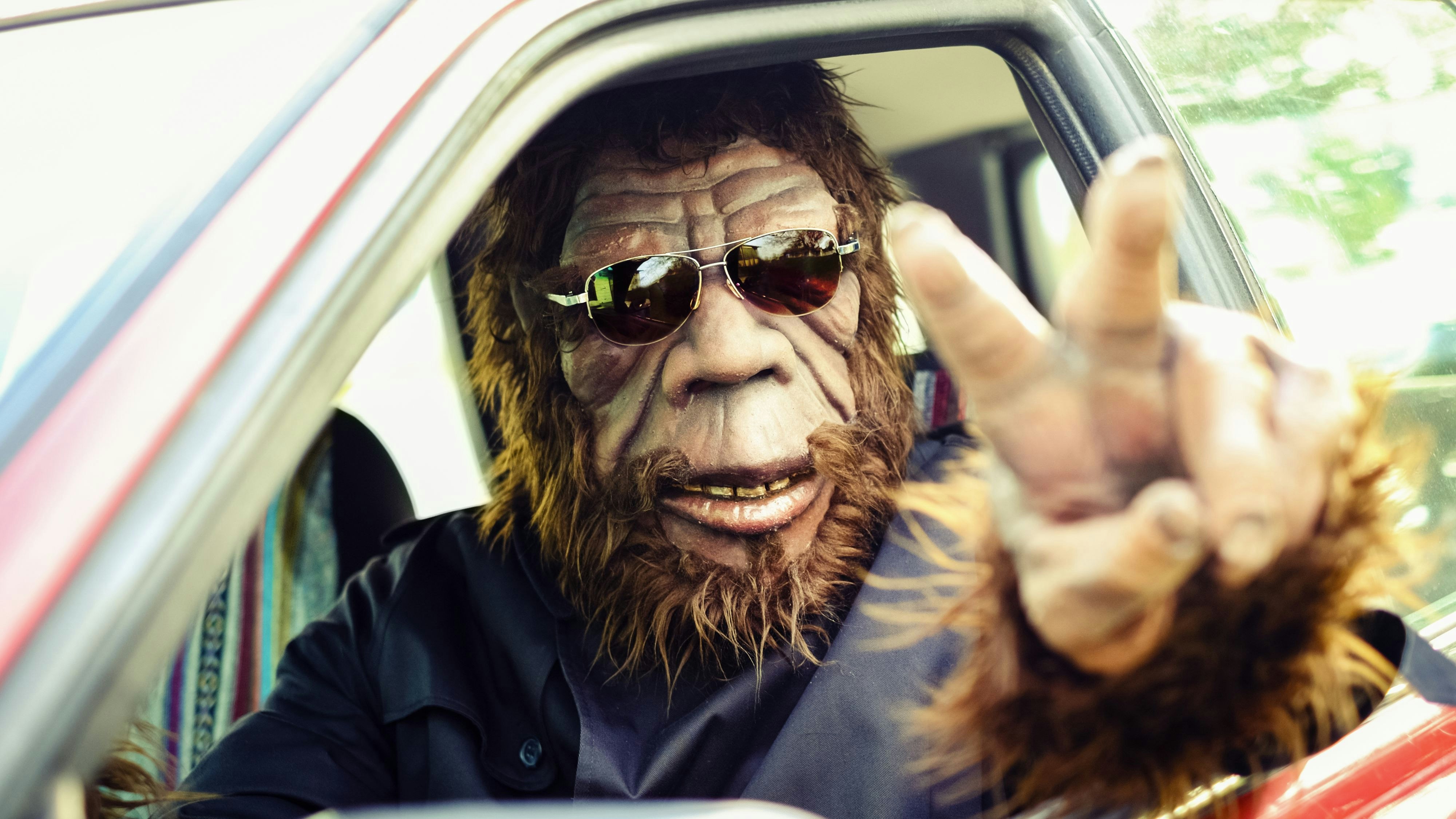 A Sasquatch Bigfoot gorilla type character driving a small car. Processed with a retro/vintage look. Suit is custom made with property release from creator.