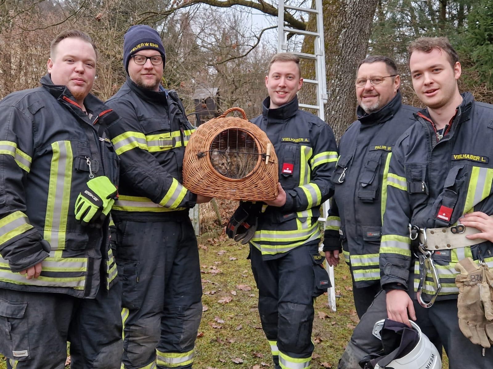 Die Katze Fibi hatte beschlossen, den Baumwipfel-Panoramablick in ihrer Heimatstadt Waidhofen/Ybbs ausgiebig zu testen. 