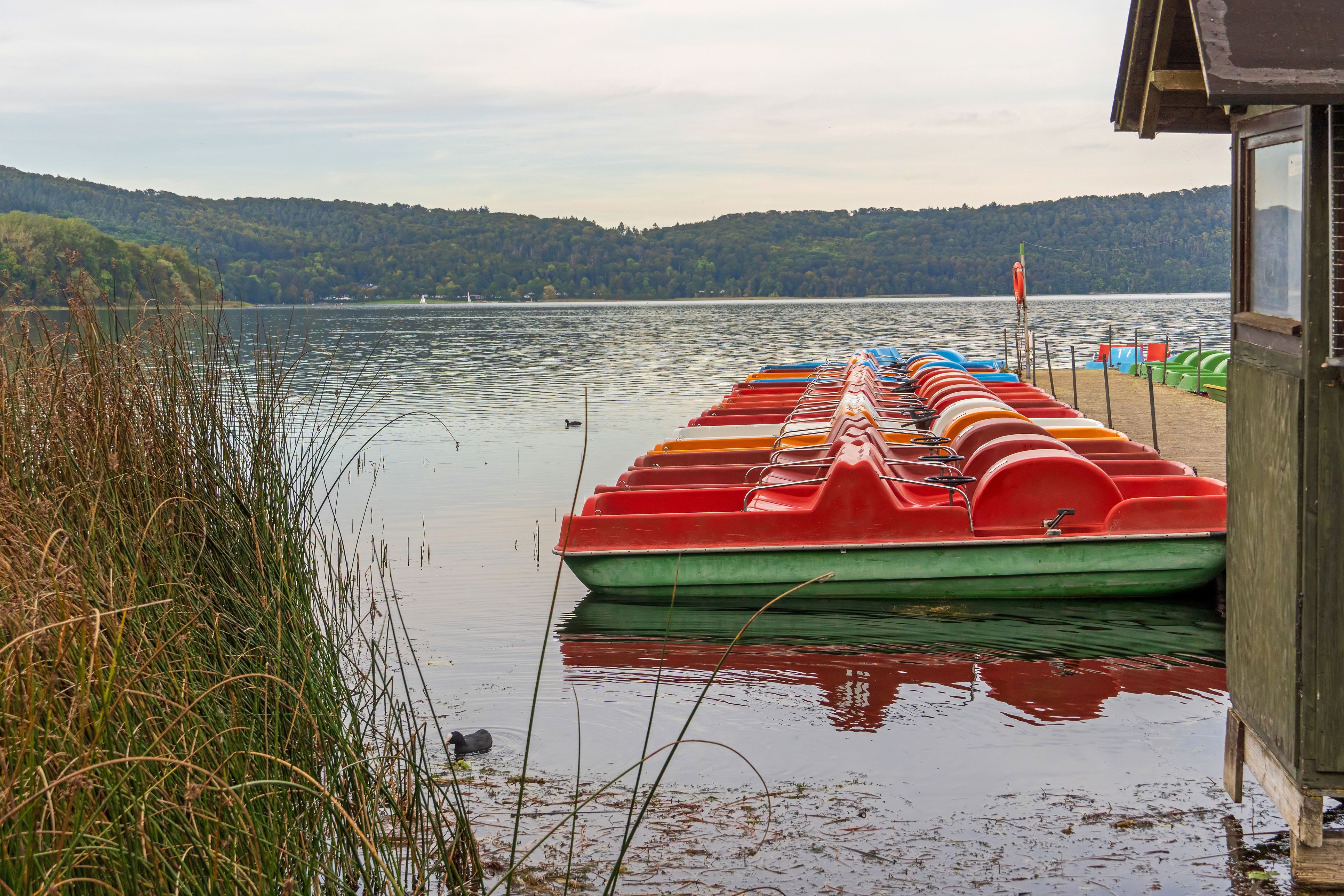 Im Wildoner Badesee wurden mehrere Tretboote versenkt (Symbolbild).