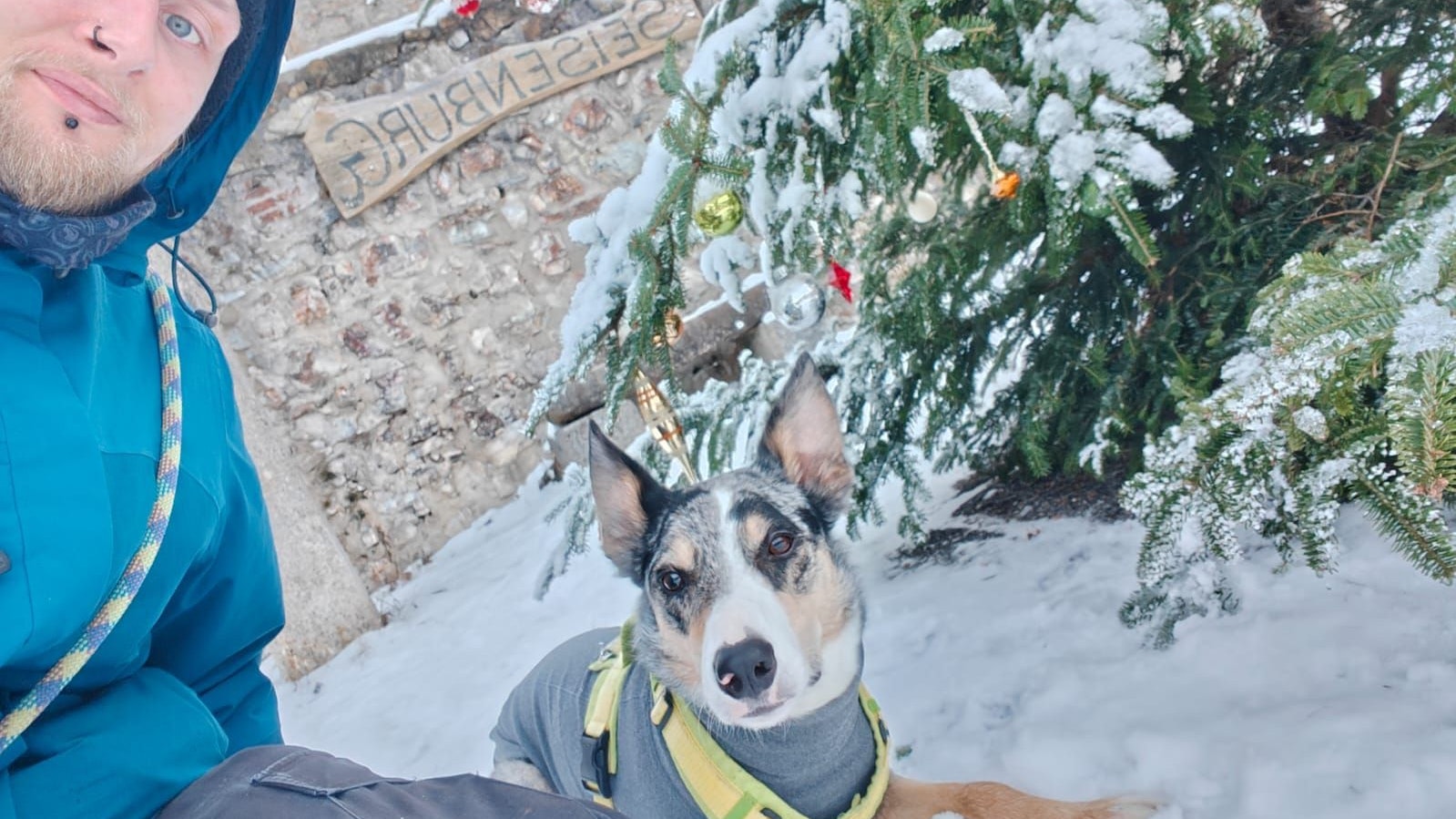Dieses Foto machte Besitzer Fabian P. kurz vor dem tödlichen Schuss.