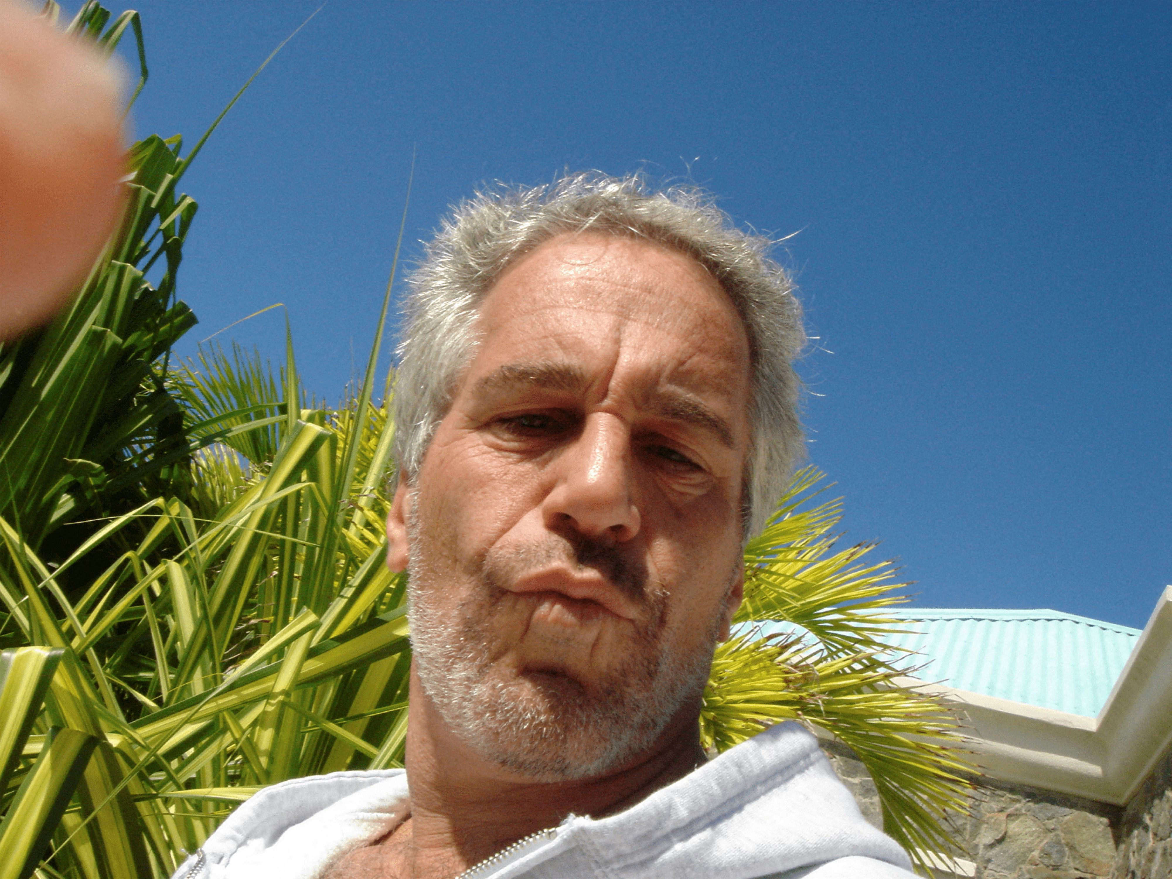 Nach wie vor wird in einigen Kreisen die offizielle Todesursache von Jeffrey Epstein angezweifelt.