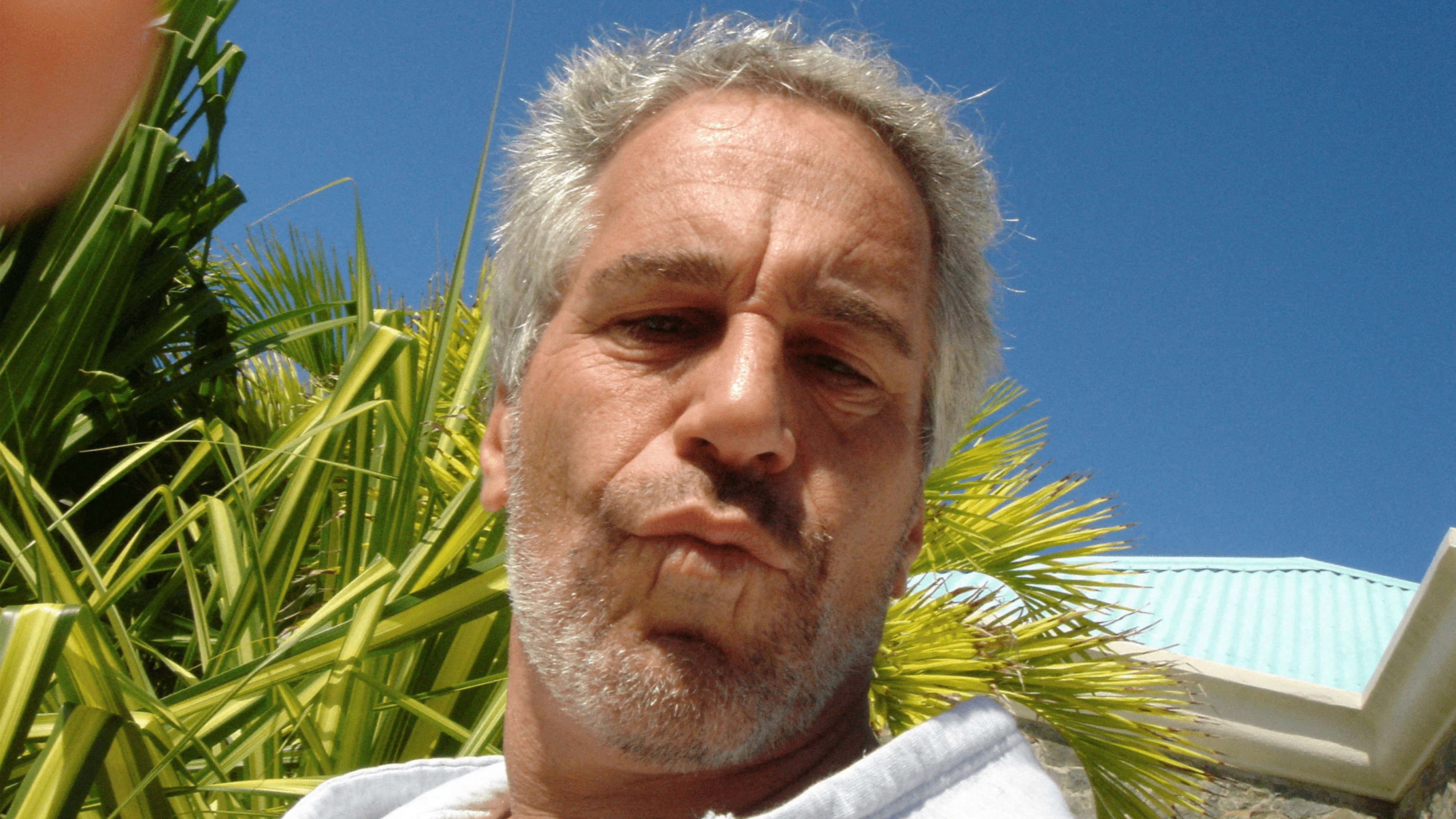 Nach wie vor wird in einigen Kreisen die offizielle Todesursache von Jeffrey Epstein angezweifelt.