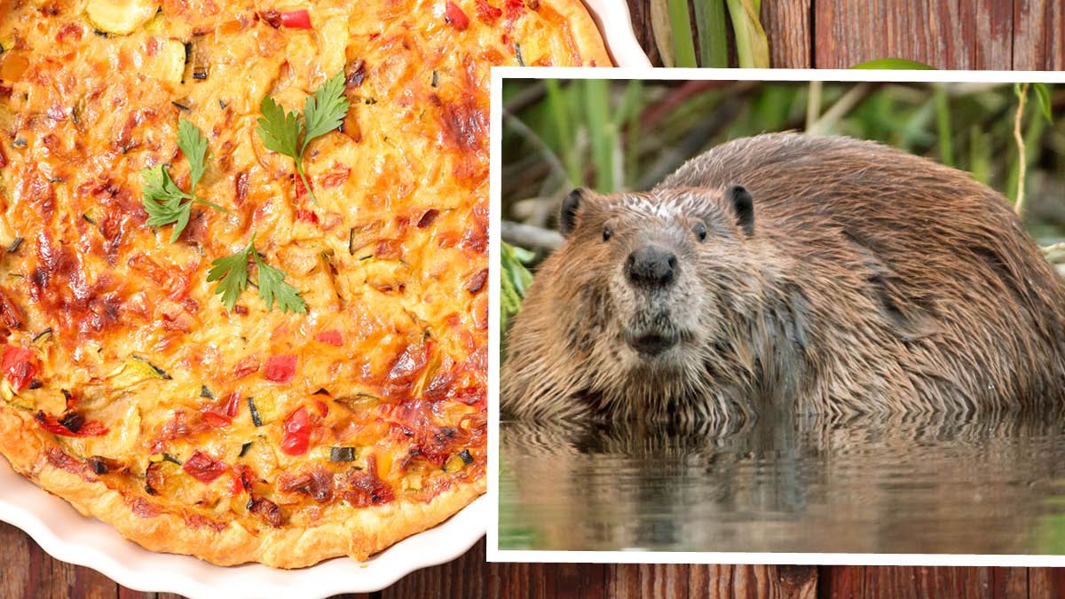 Nachhaltig oder grauslich – die Diskussion verläuft heftig.