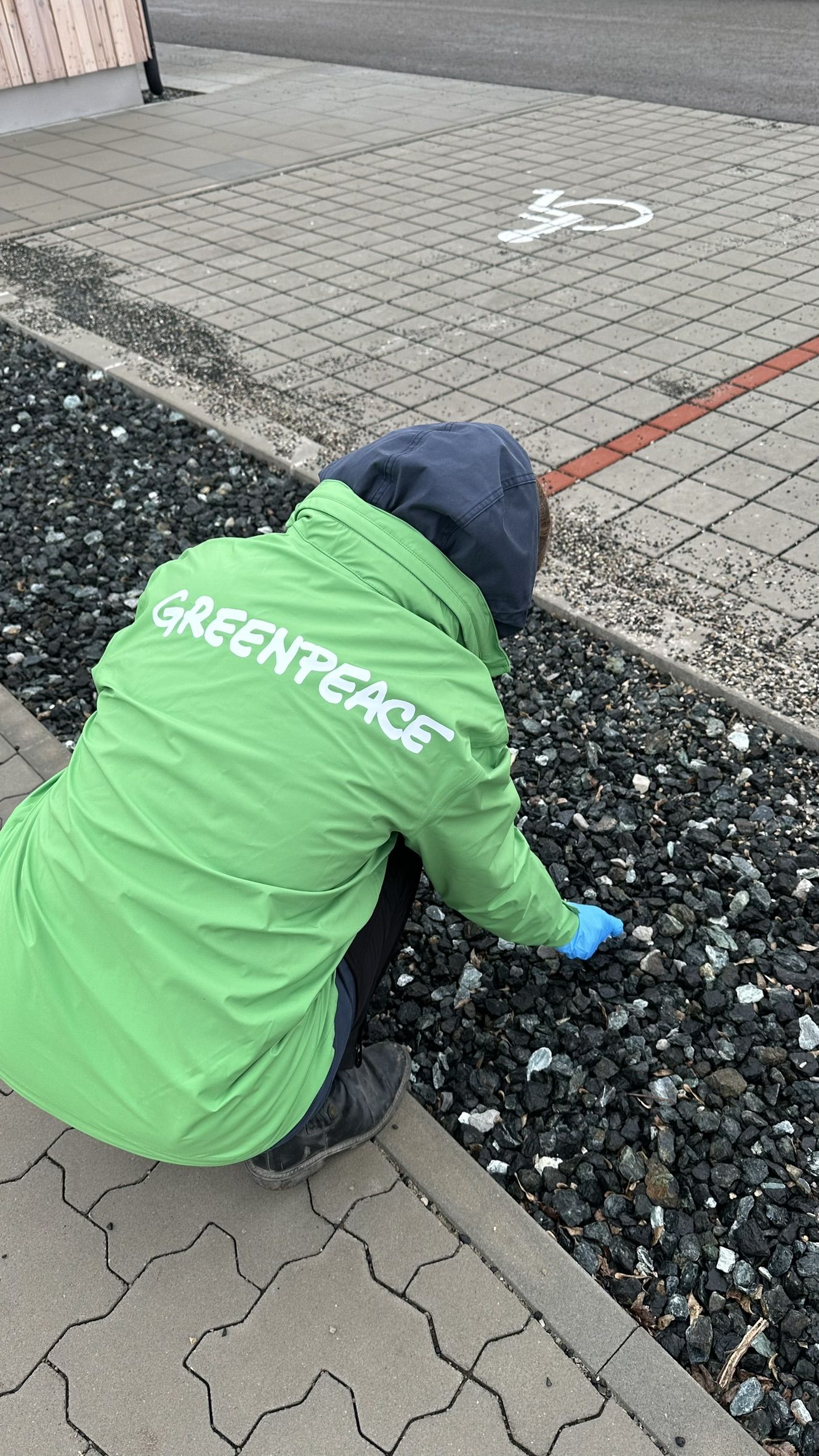 Eine Greenpeace-Mitarbeiterin sammelt Schotter-Proben bei Breitenbrunn (Burgenland).