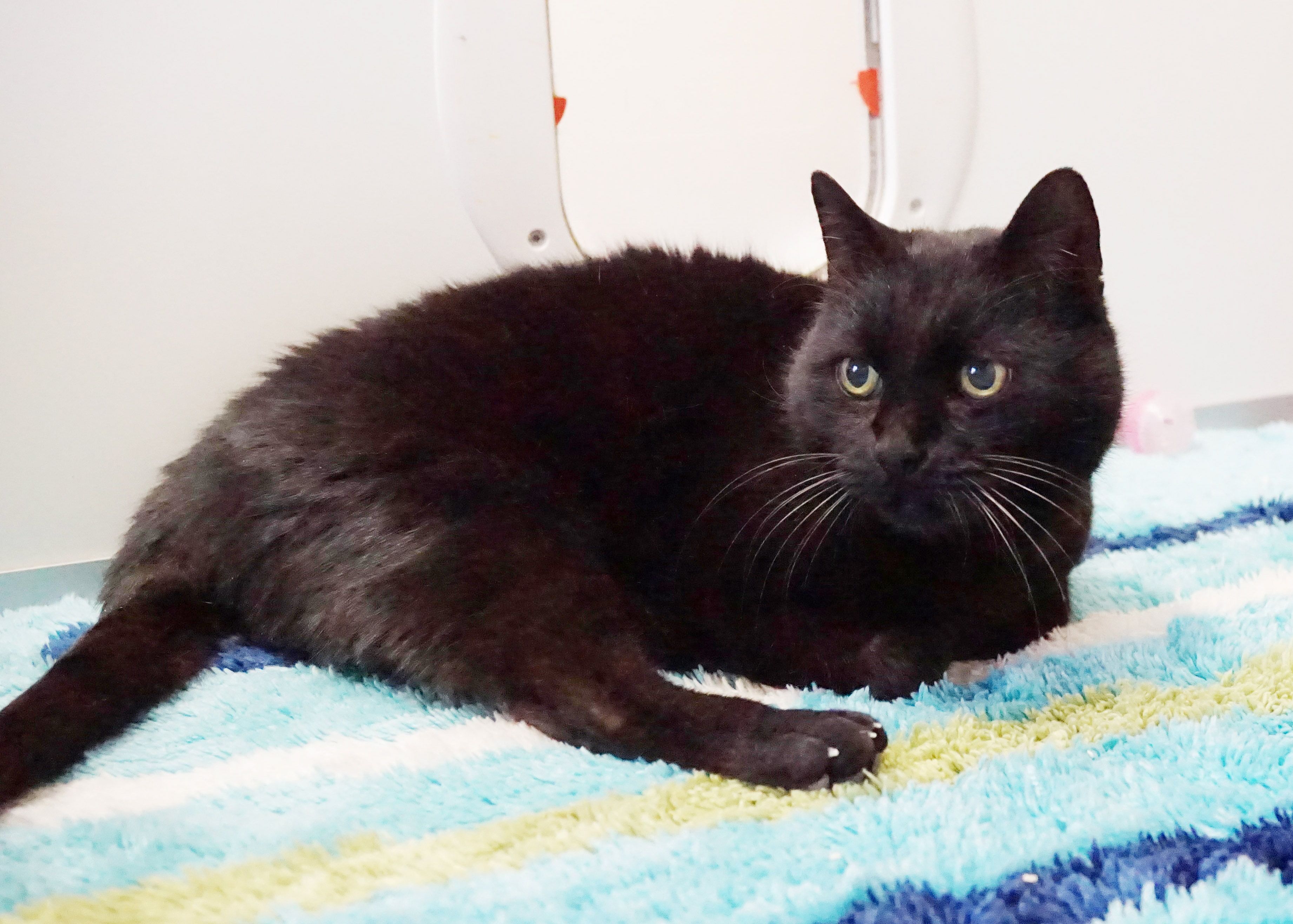 Vivien ist elf Jahre alt und hat viel zu erzählen.