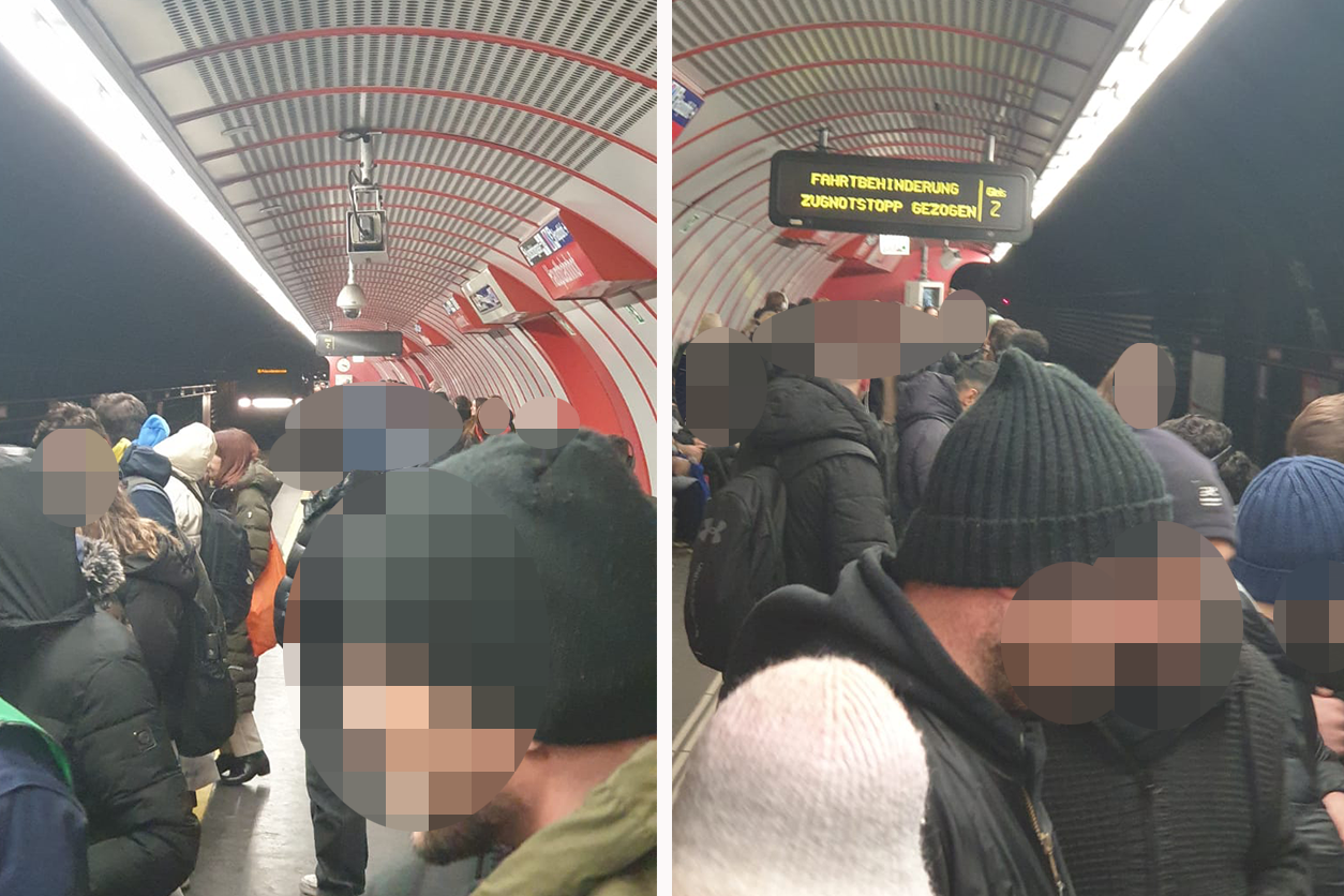 Heute.at - Katze auf U-Bahn-Gleisen! Fahrgast löst Notstopp aus