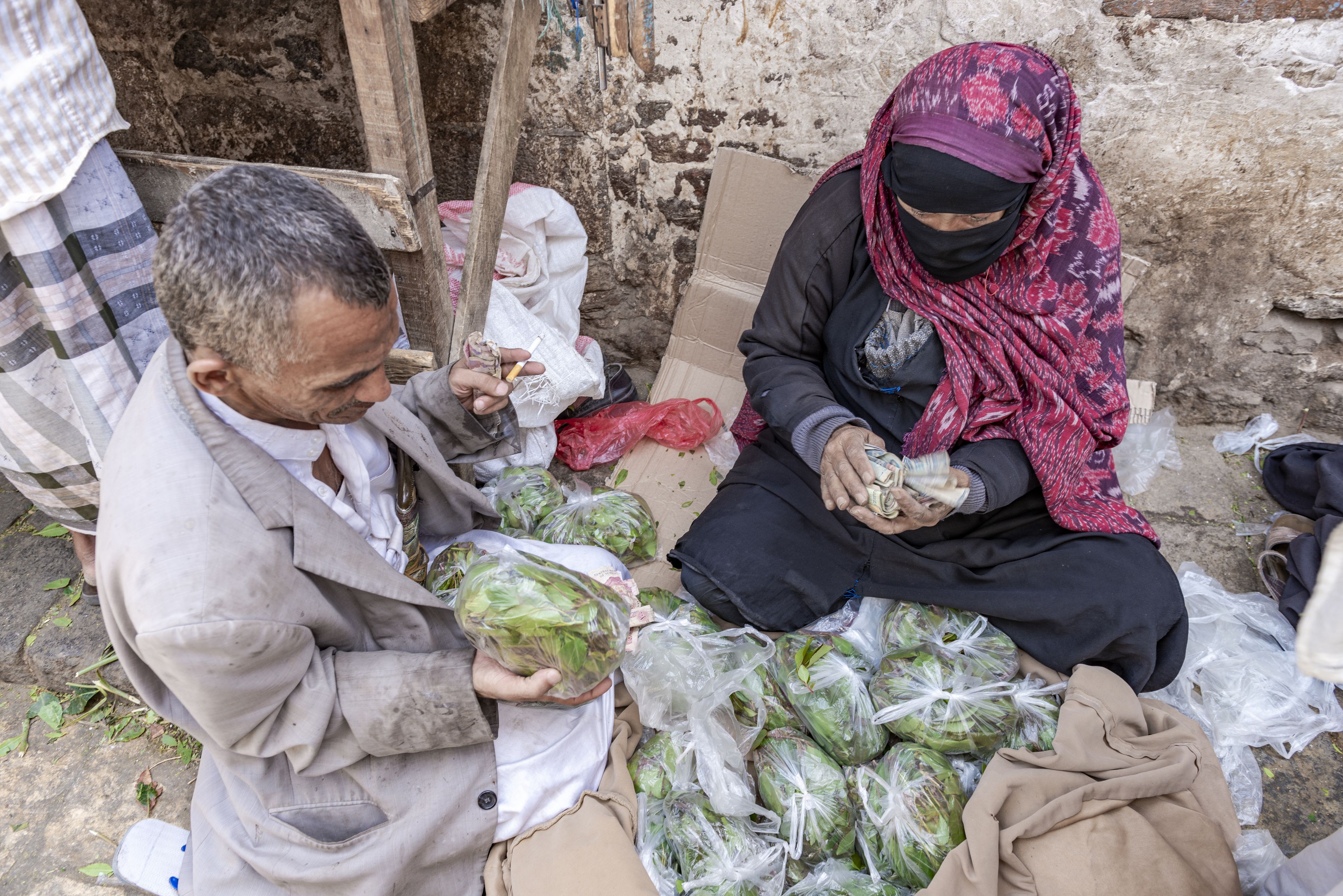 40 Kilogramm des berauschenden Khat-Strauchs wurden am Flughafen Wien-Schwechat entdeckt.