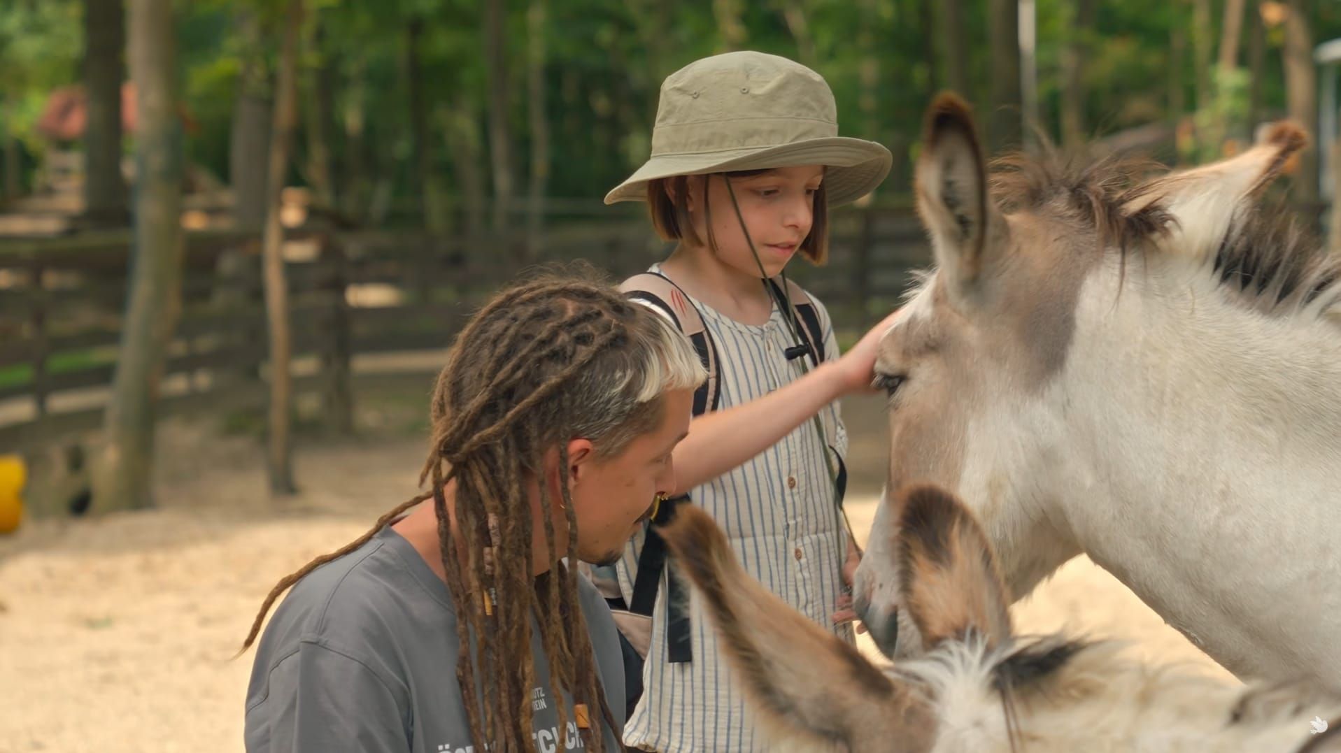 Heute.at - Tierschutz-Hof in Stockerau sorgt weltweit für Aufsehen