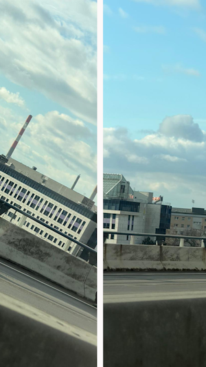 Stau in Wien: Schwan sorgt für Aufregung im Frühverkehr. Polizei bringt das Tier in Sicherheit. Aktuelle Meldung vom Mittwoch.