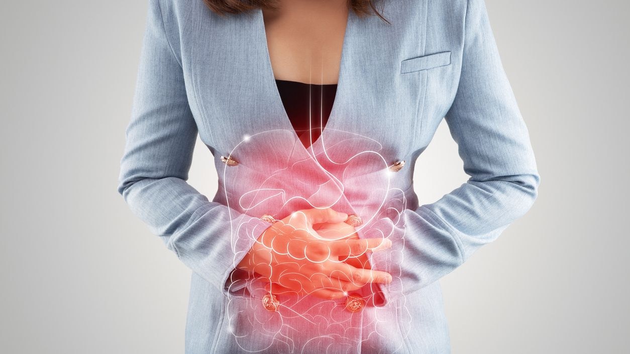 Illustration of internal organs is on the woman's body against the gray background. Business Woman touching stomach painful suffering from enteritis. internal organs of the human body.