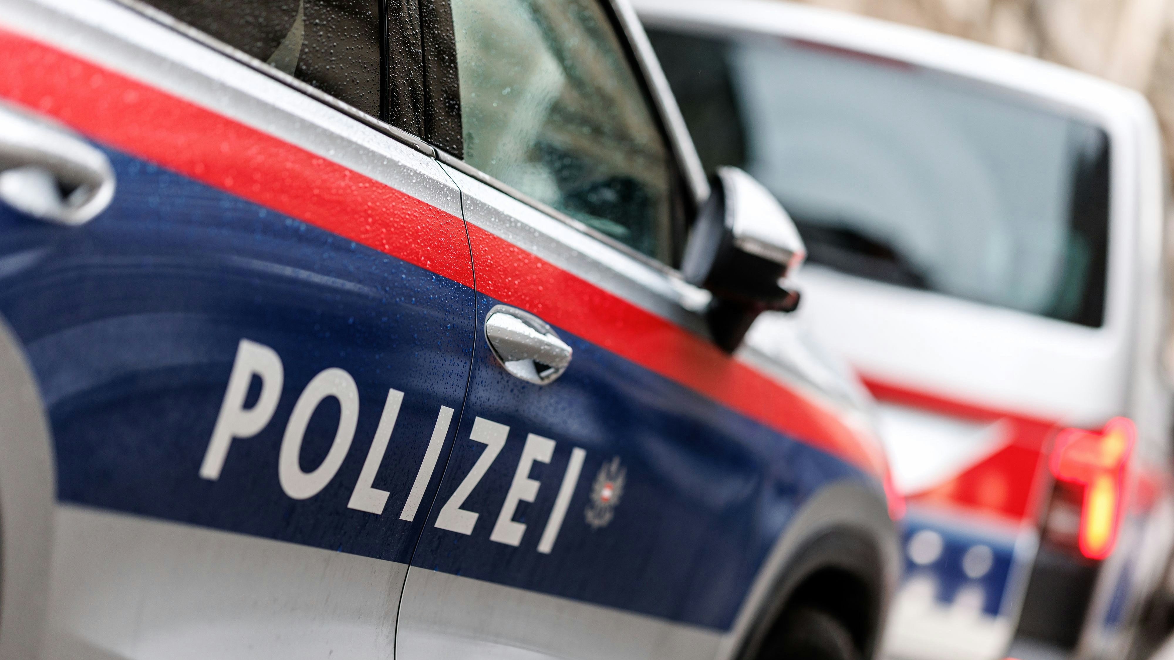 Heute.at - Totes Kleinkind und schwer verletzte Mutter entdeckt