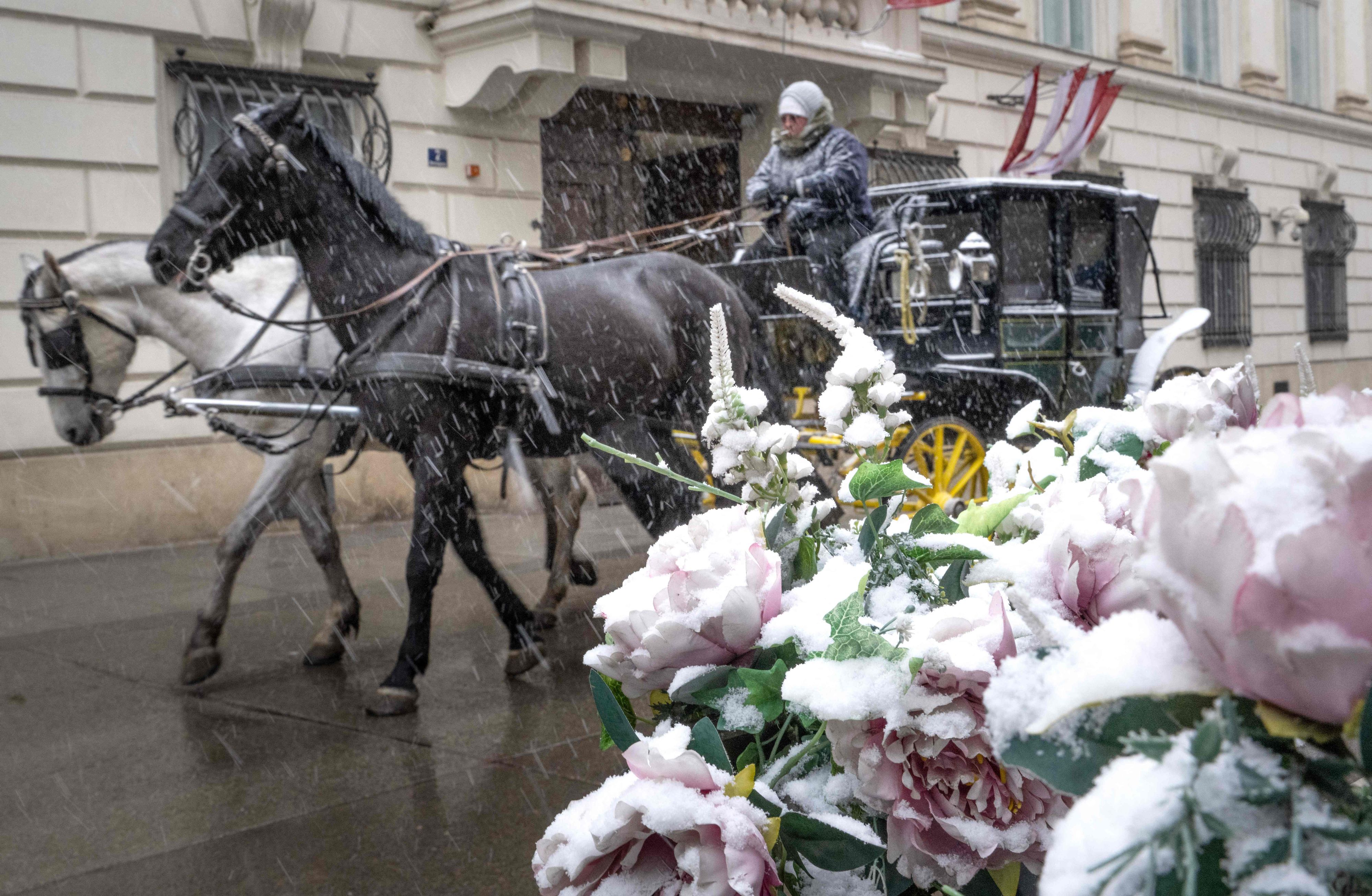 Heute.at - Bauernregel verrät, wann der Winter wirklich endet