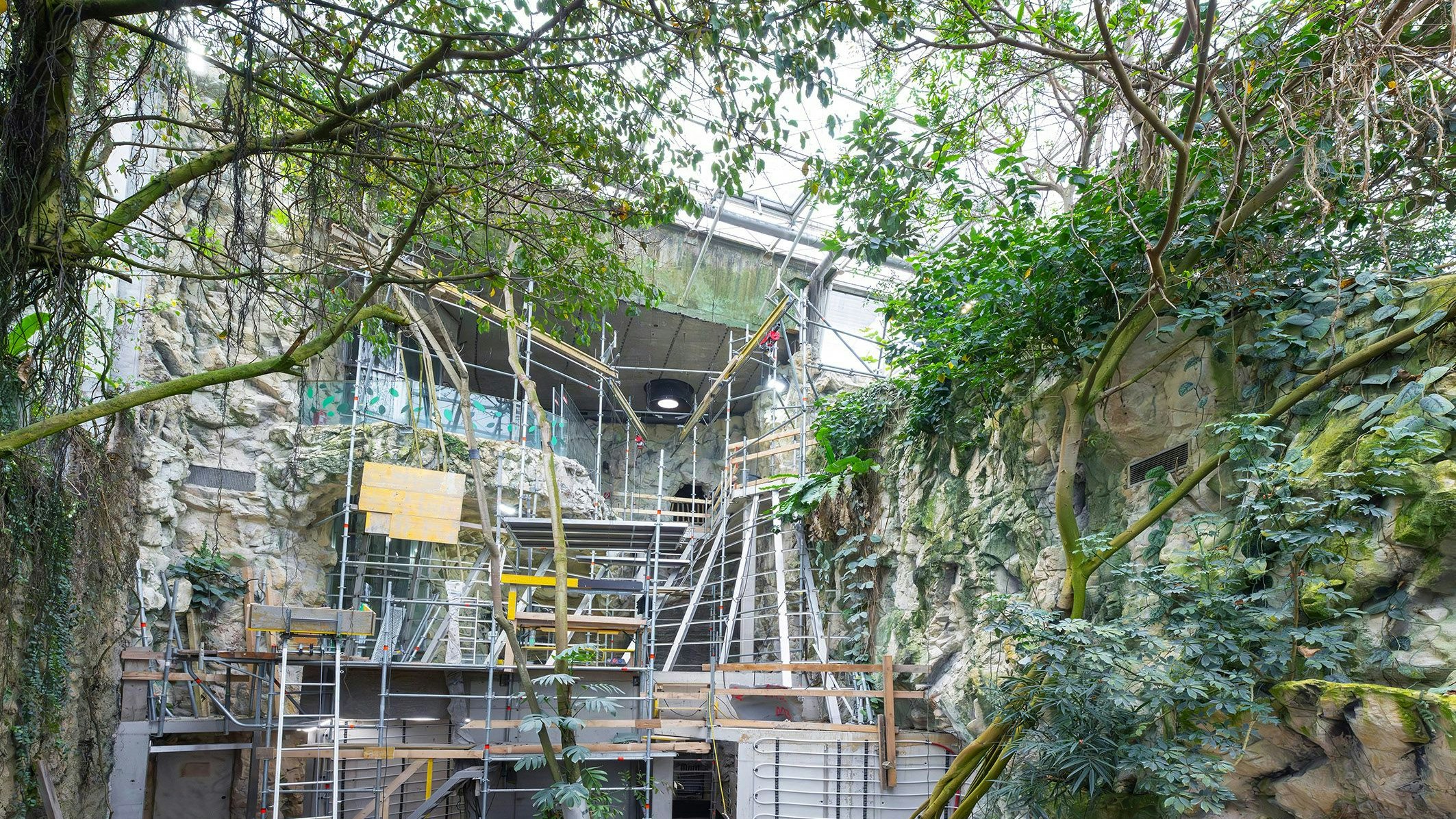 Die Umbauten laufen auf Hochtouren um schon bald ein Stückchen Regenwald nach Wien holen zu können.