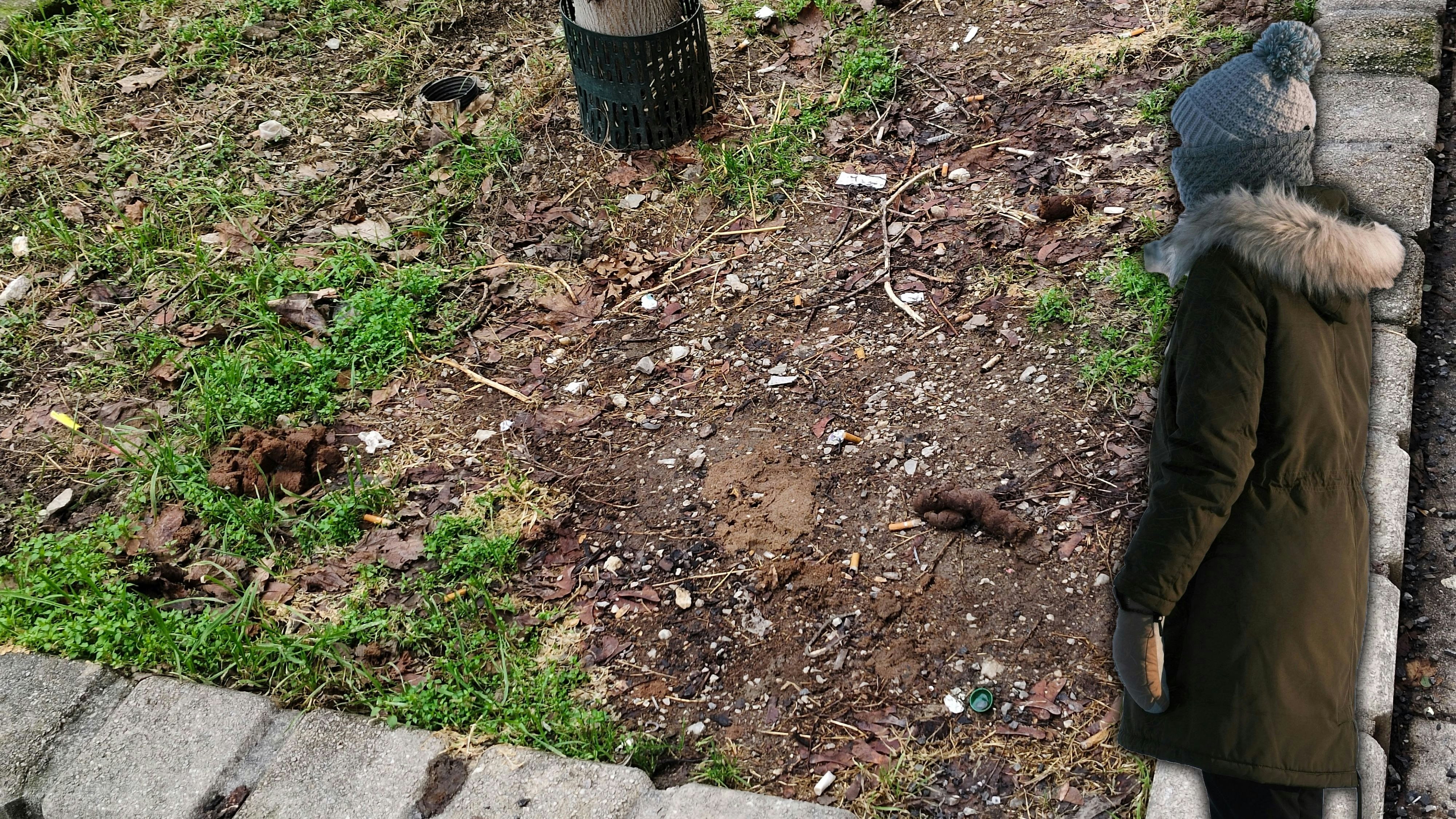 Nerven liegen blank! Hundekot-Albtraum in Favoriten