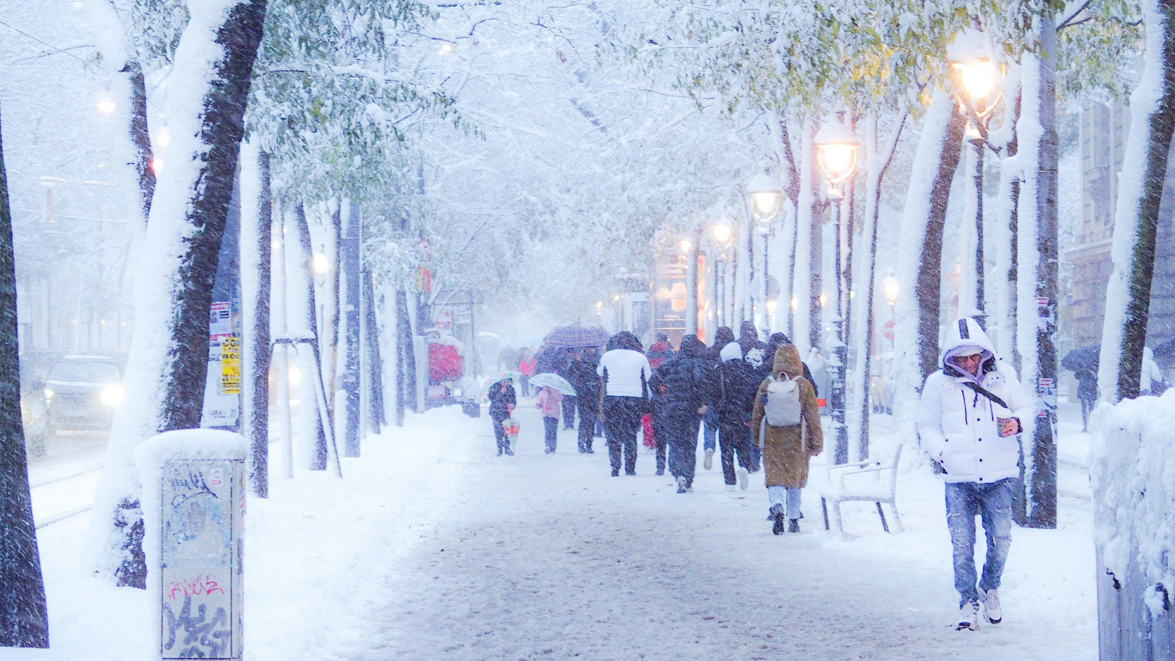 Auch Wien verwandelt sich wieder in eine Winterlandschaft.
