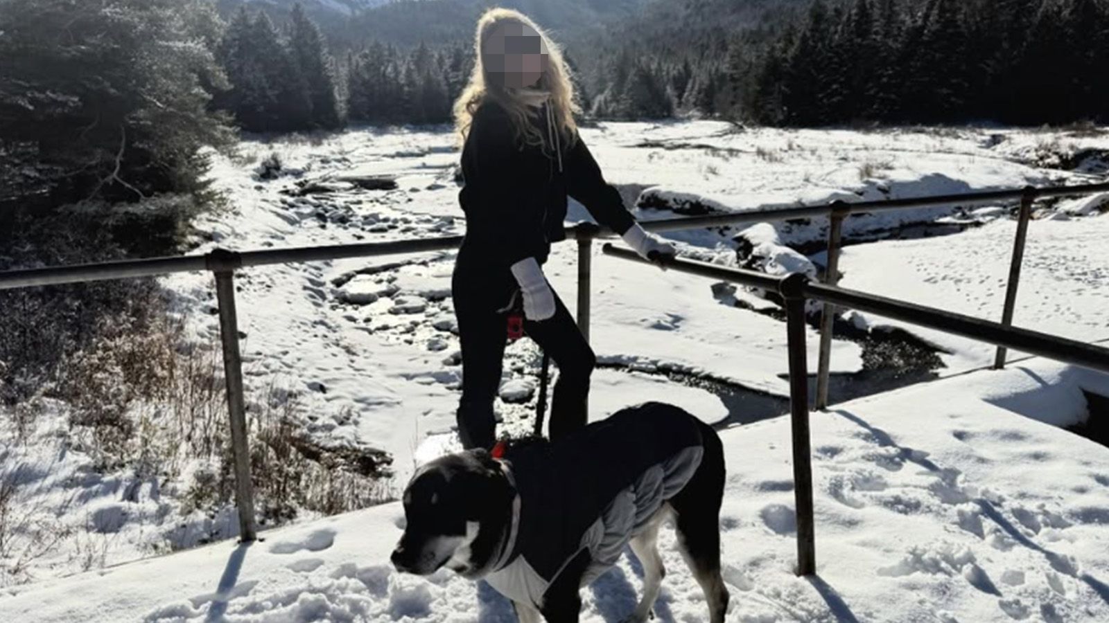 Brianna M. war mit ihrem Hund Fezco unterwegs.