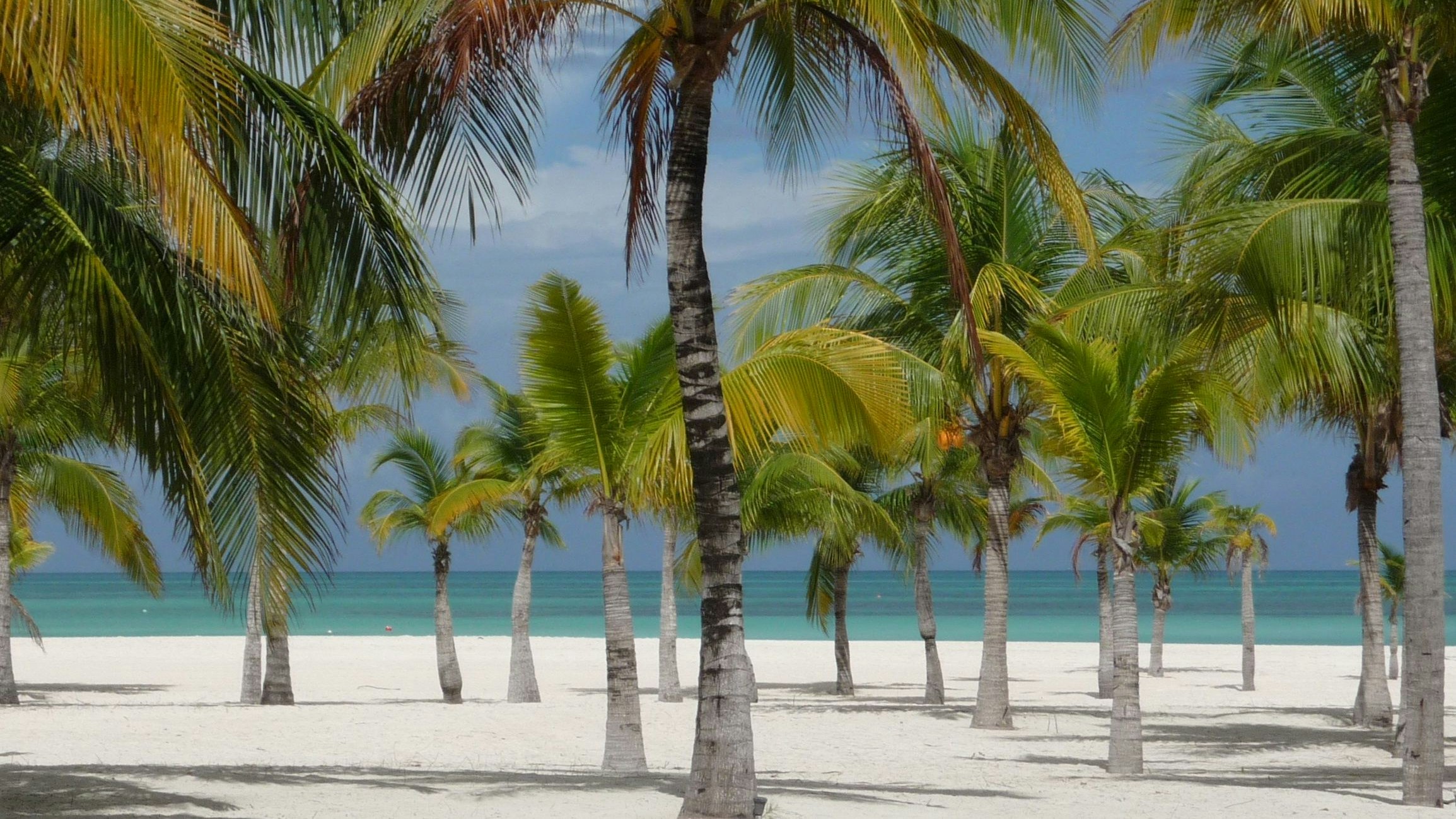 Isla Pasion - Passion Island Cozumel Mexico