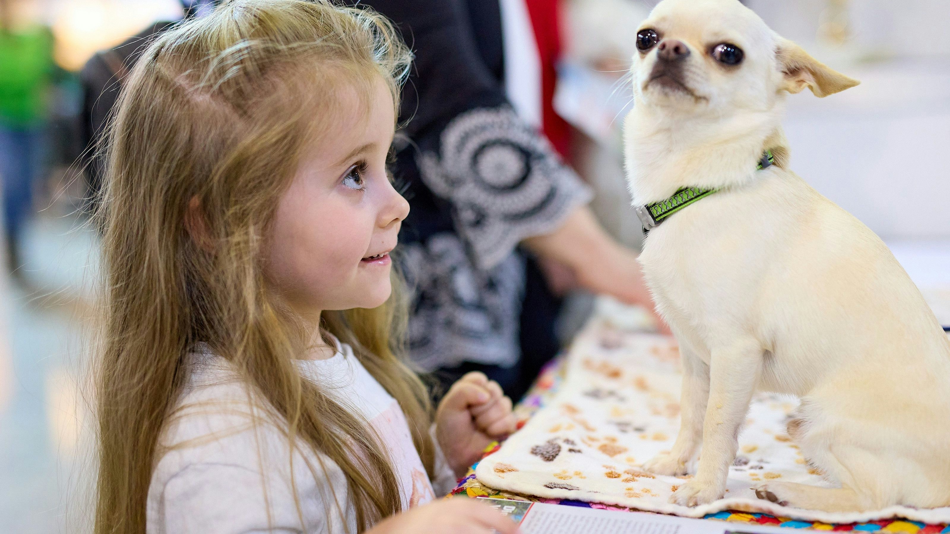 Heute.at - Ein tierisches Erlebnis für Groß und Klein