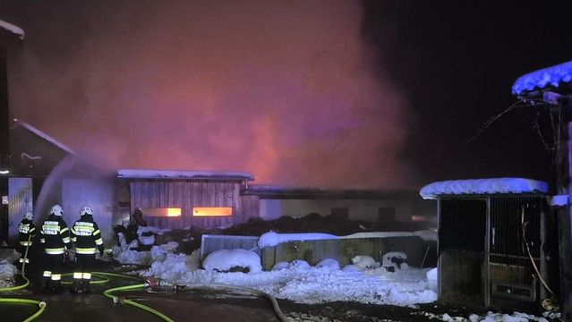 Die Feuerwehr konnte den Stallbrand löschen.
