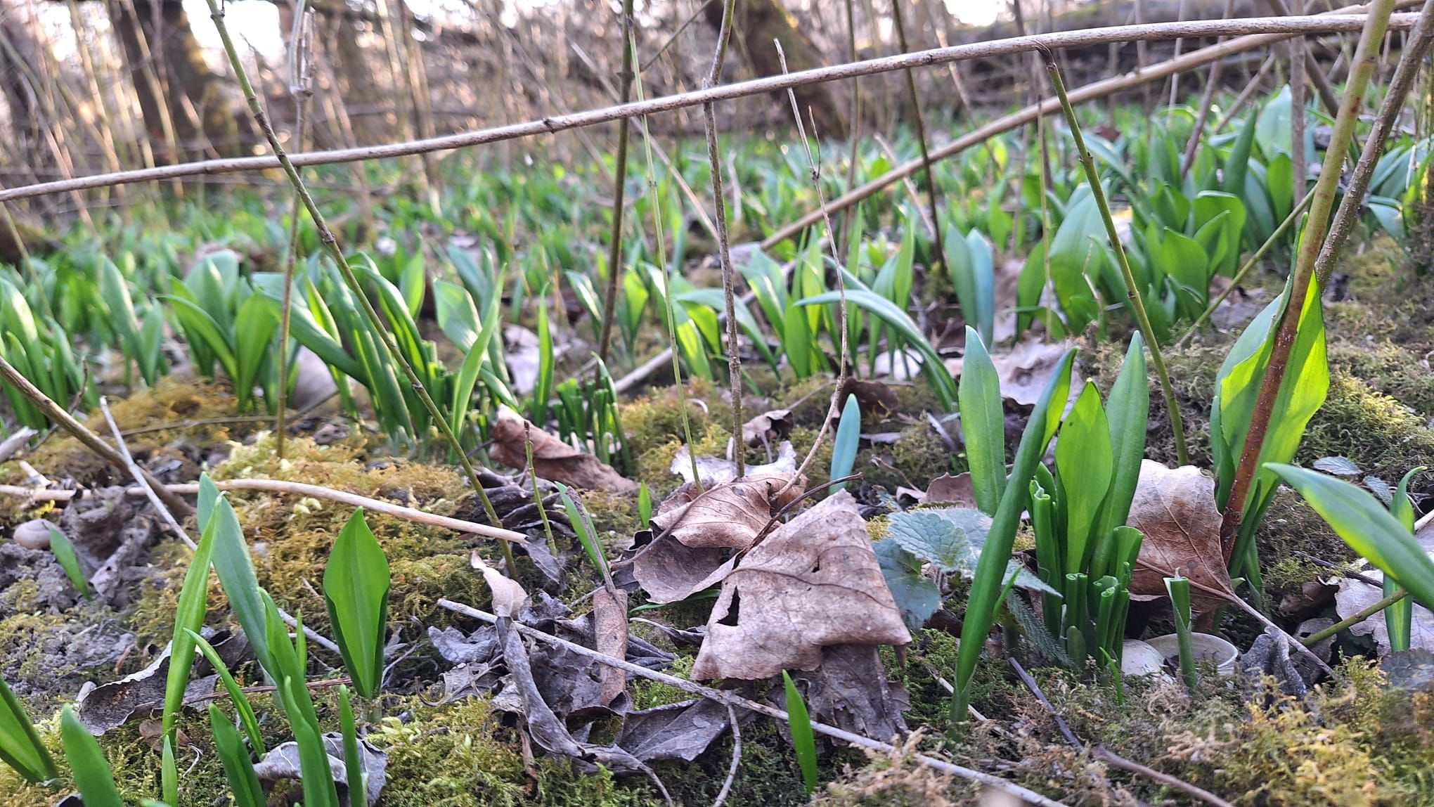 Heute.at - Schnee und Regenschauer – Experte mit düsterer Prognose