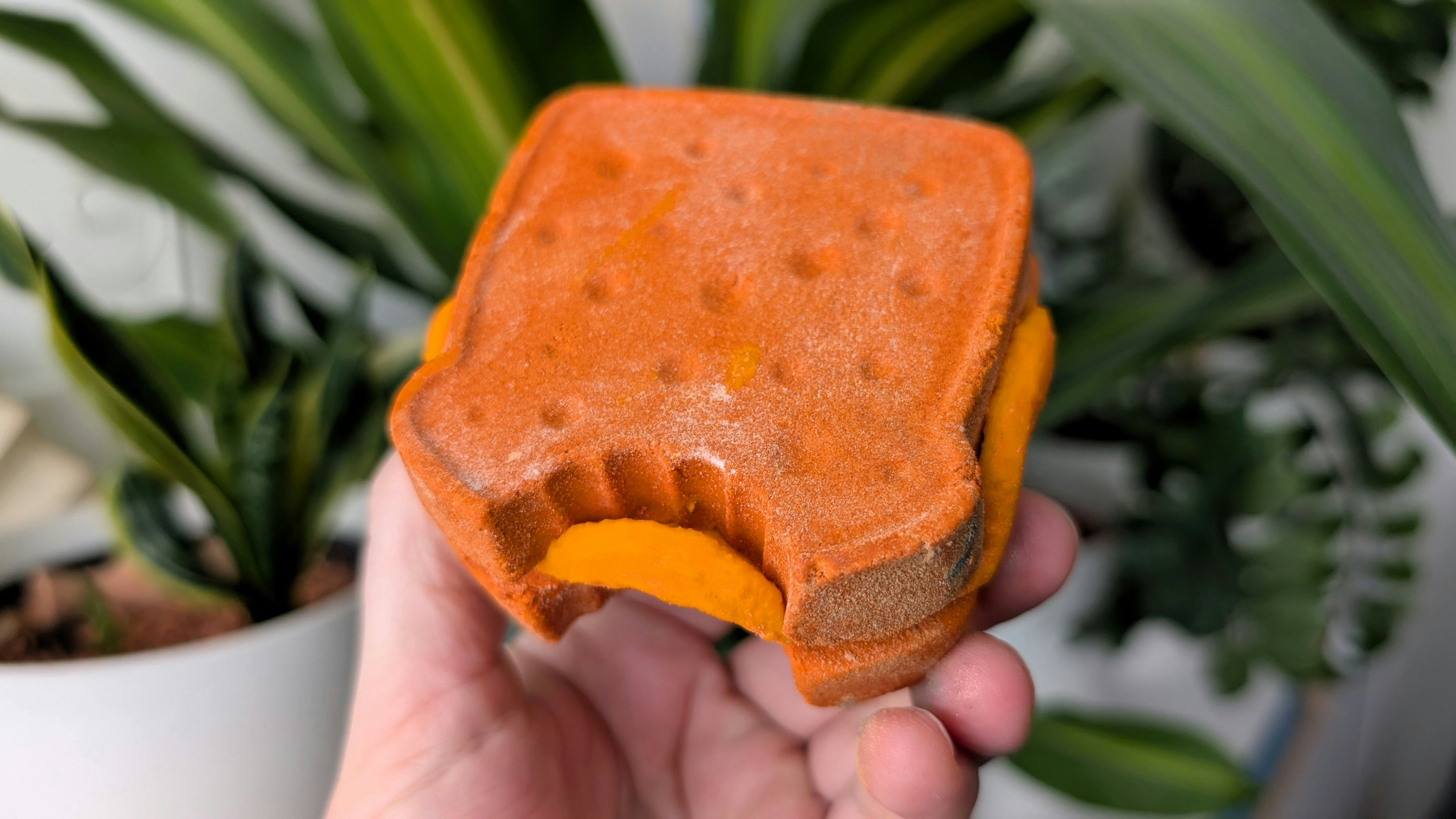Hauptmotiv der neuen Produktlinie von Lush ist der berühmte Orangenduft, der an Paddingtons geliebte Marmeladensandwiches erinnert.